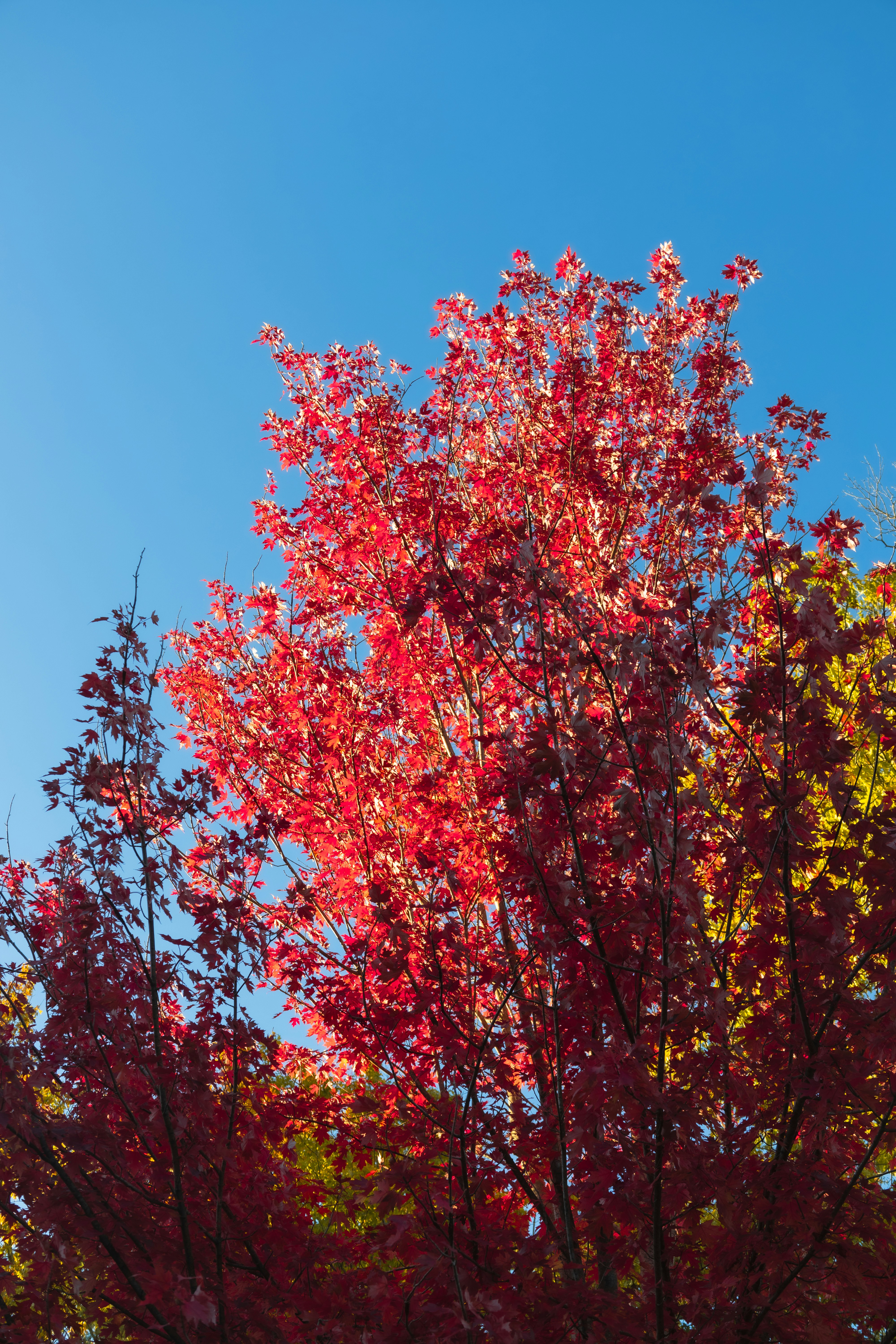 Photo by vincentyuan87