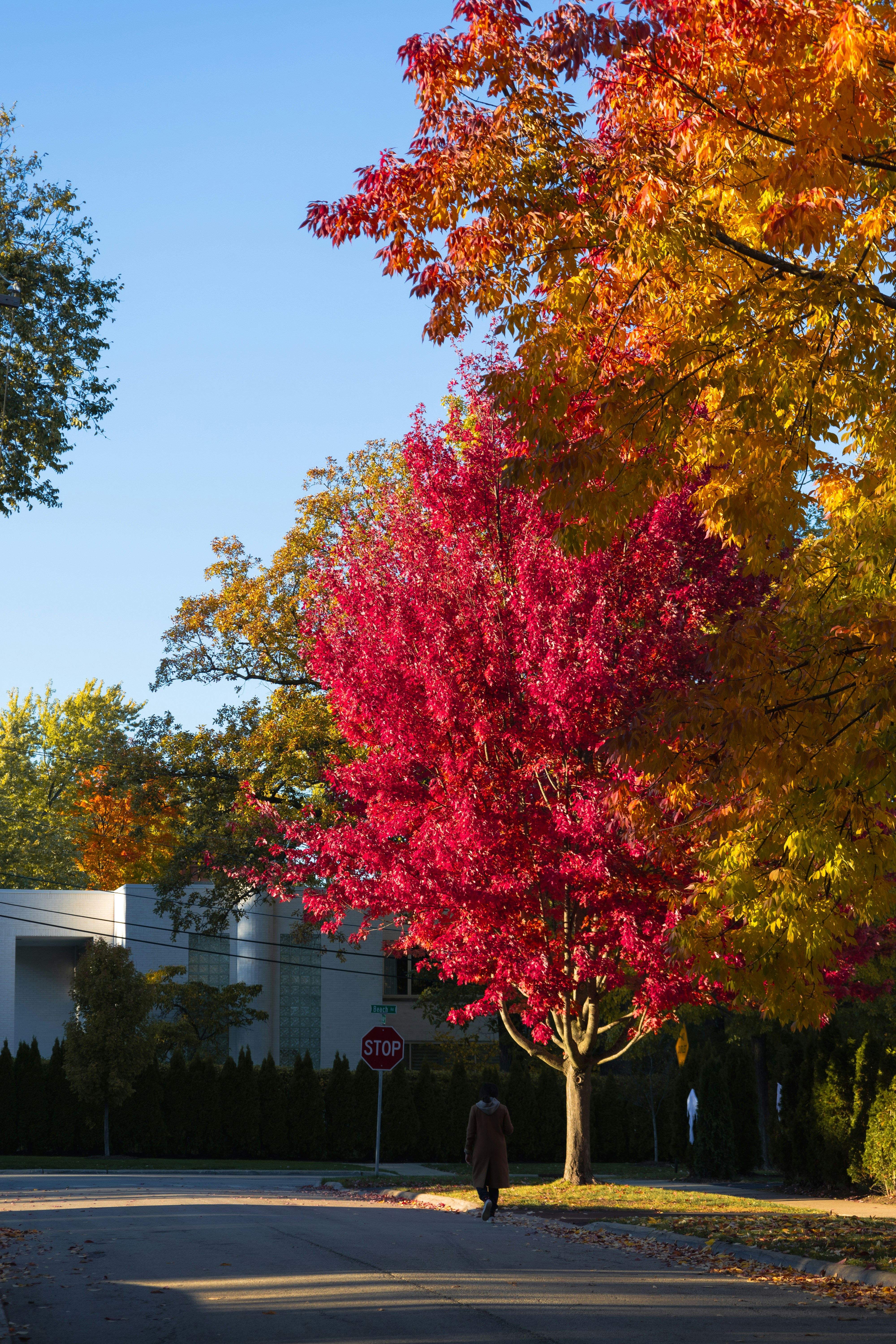 Photo by vincentyuan87