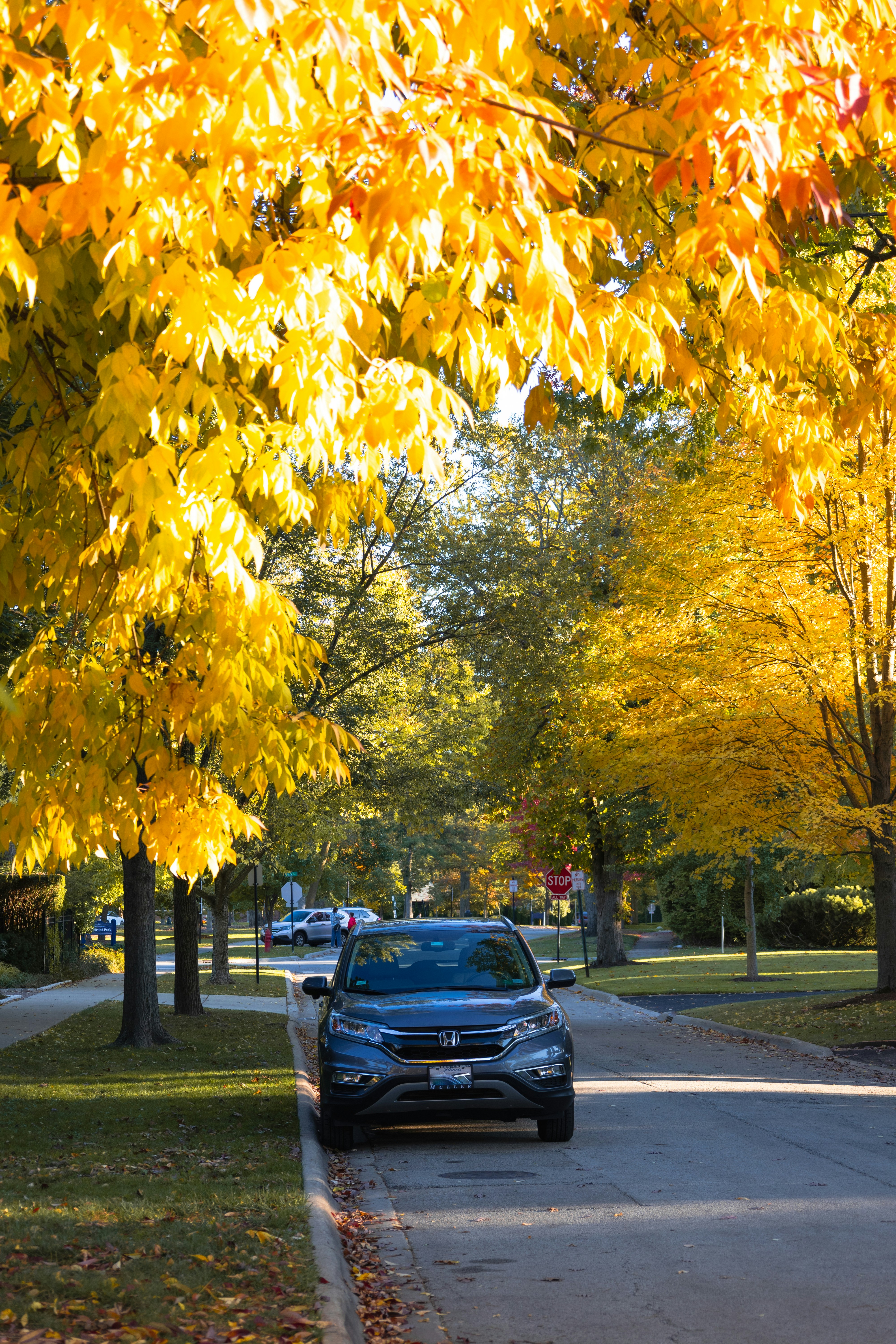 Photo by vincentyuan87