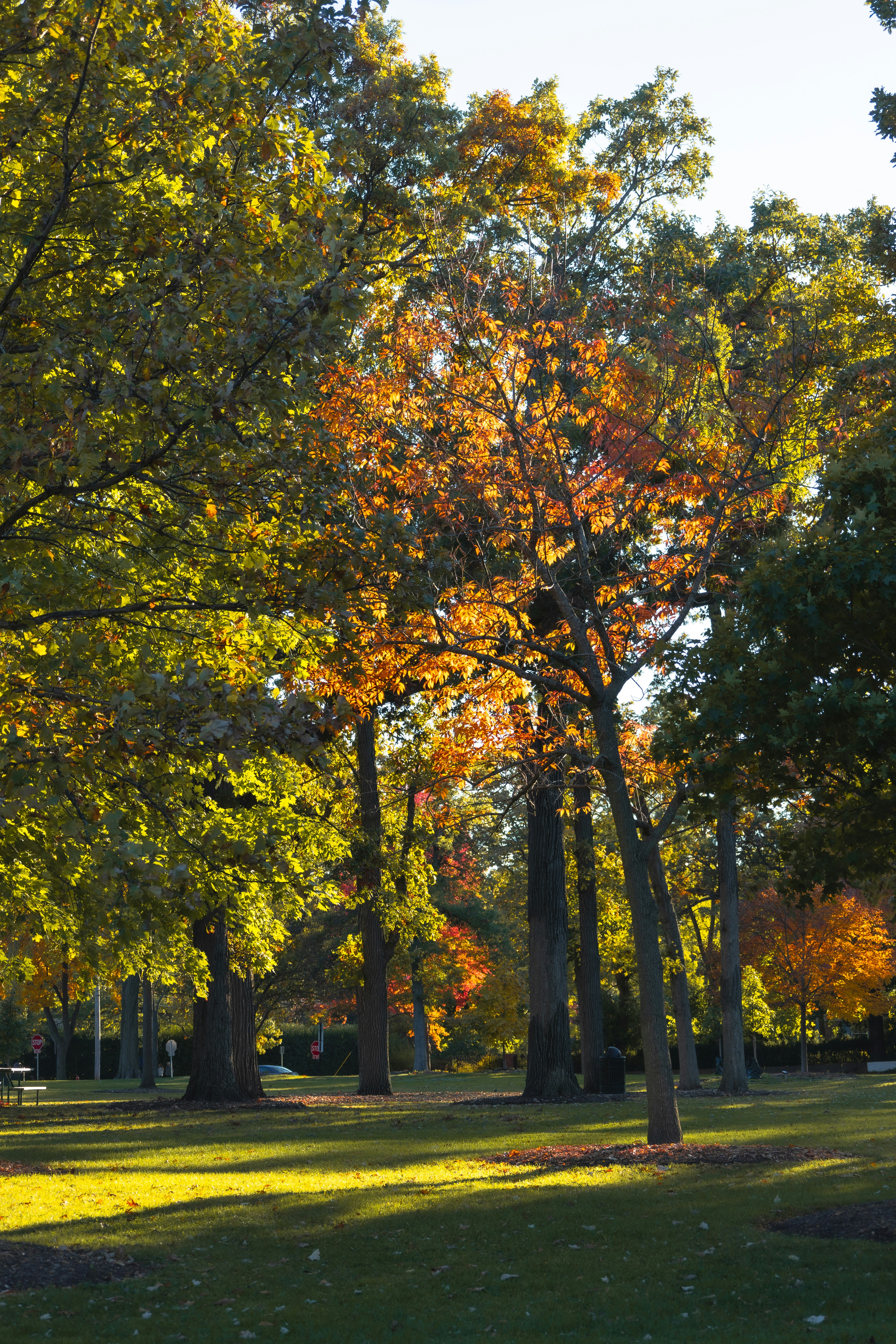 Photo by vincentyuan87