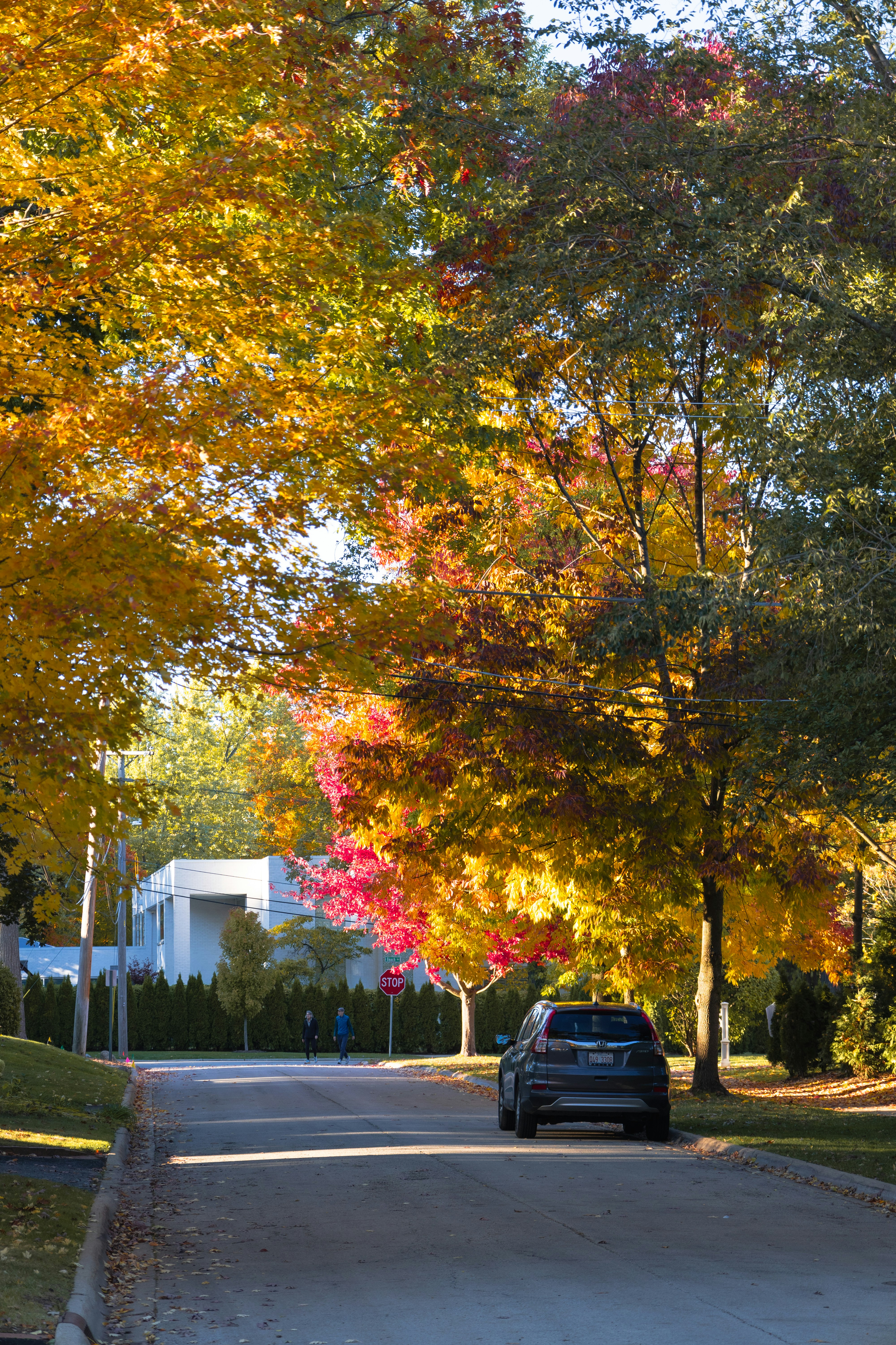 Photo by vincentyuan87