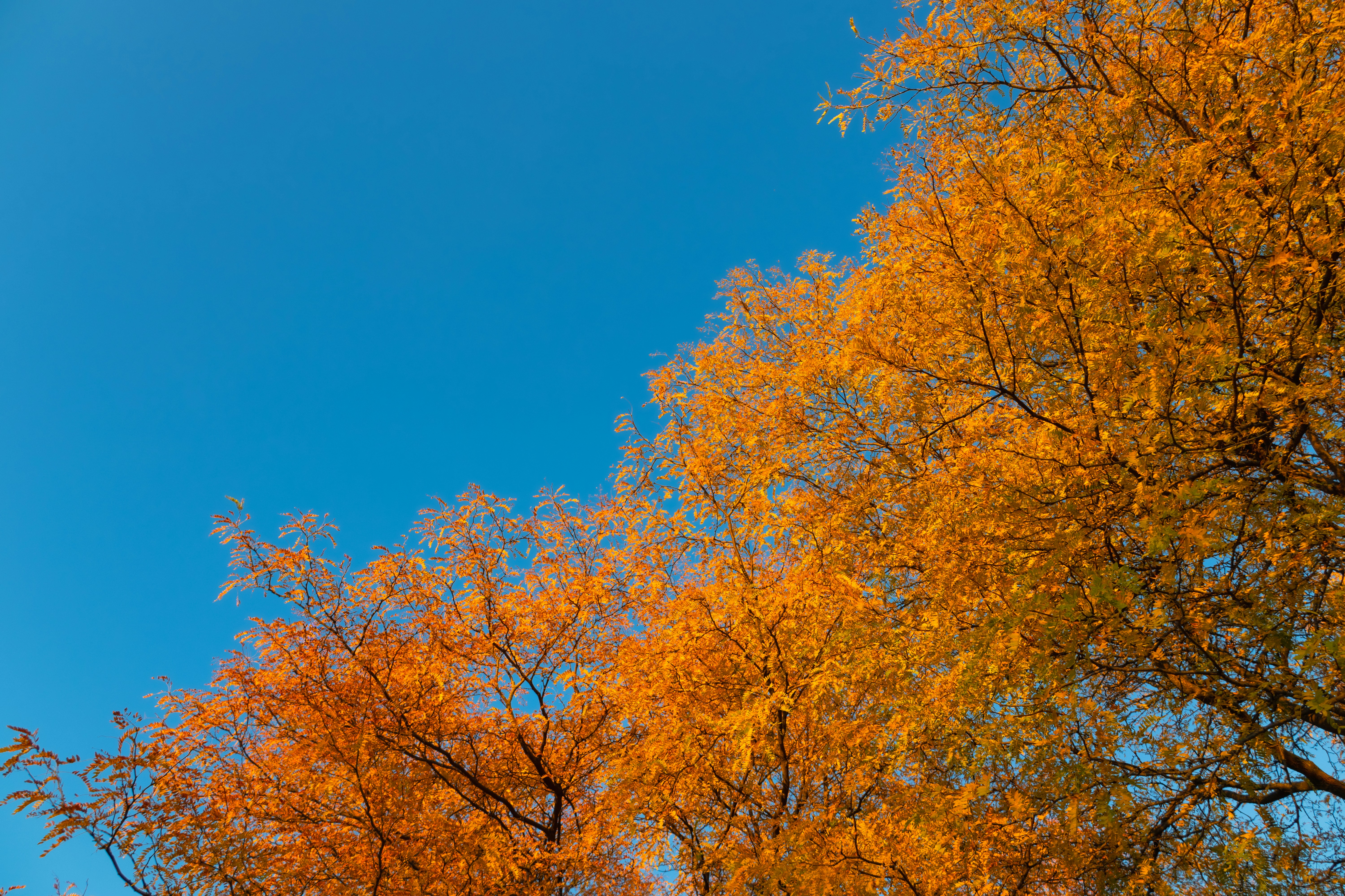 Photo by vincentyuan87