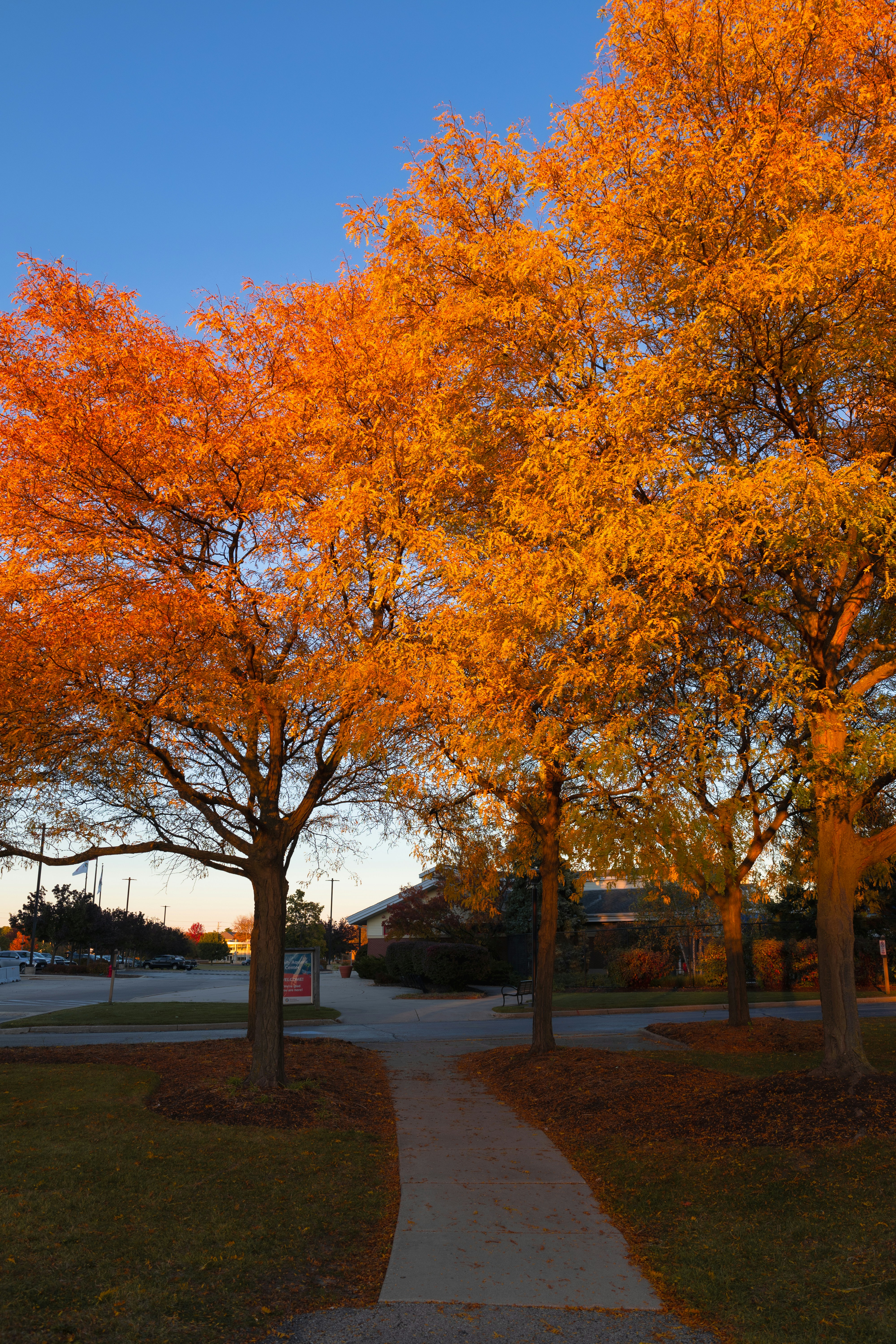 Photo by vincentyuan87