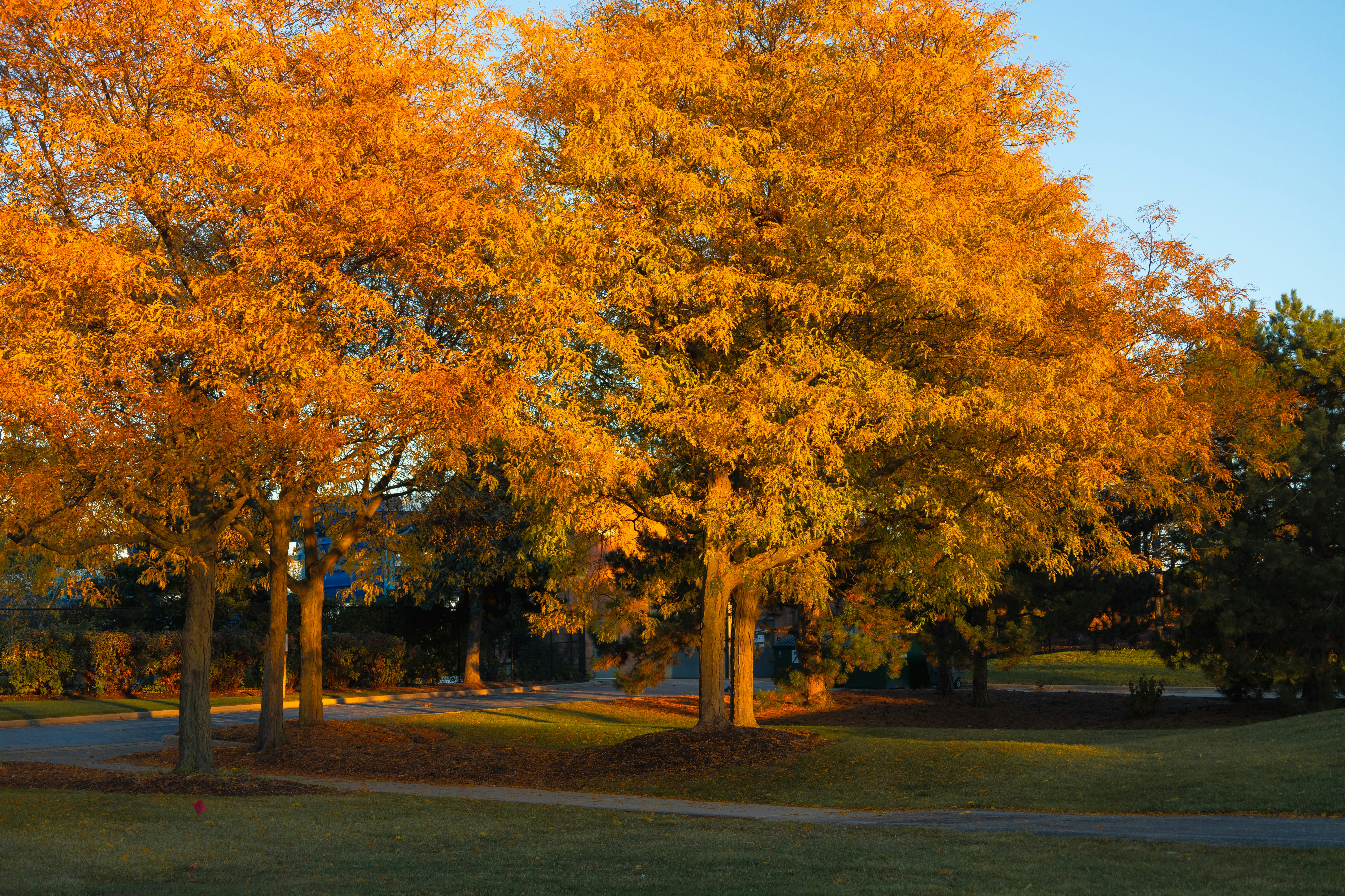 Photo by vincentyuan87