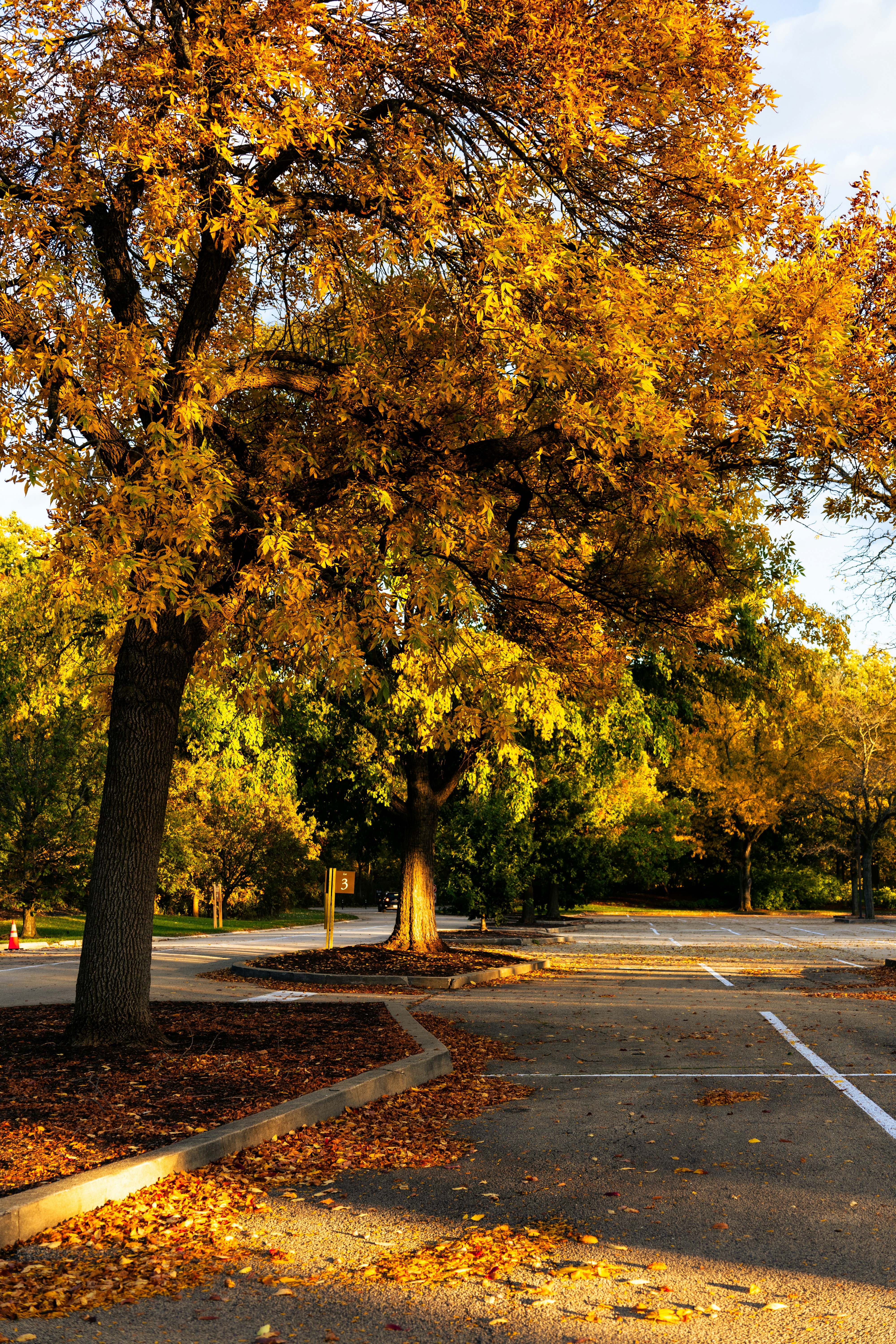 Photo by vincentyuan87