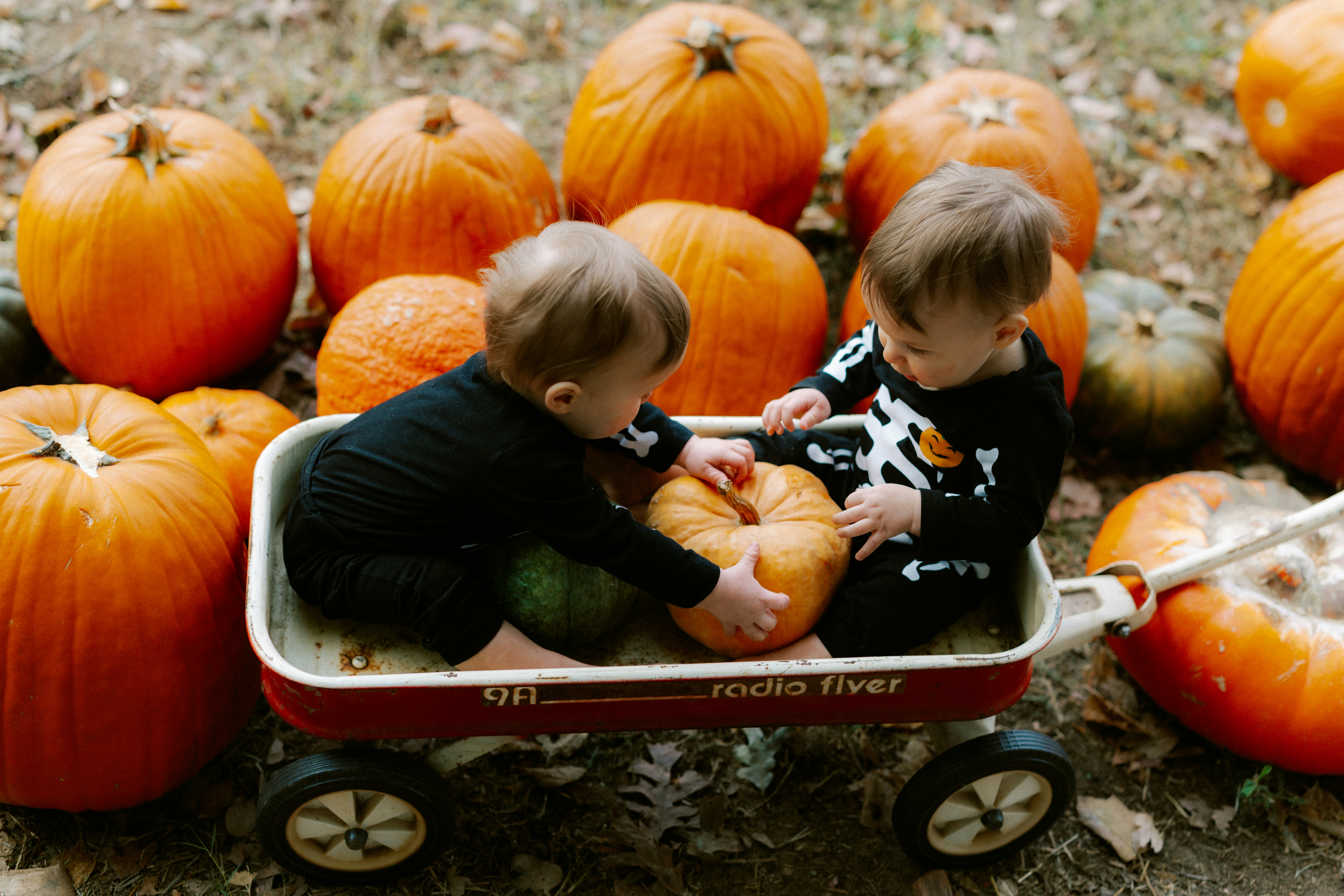 Photo by brookebalentine