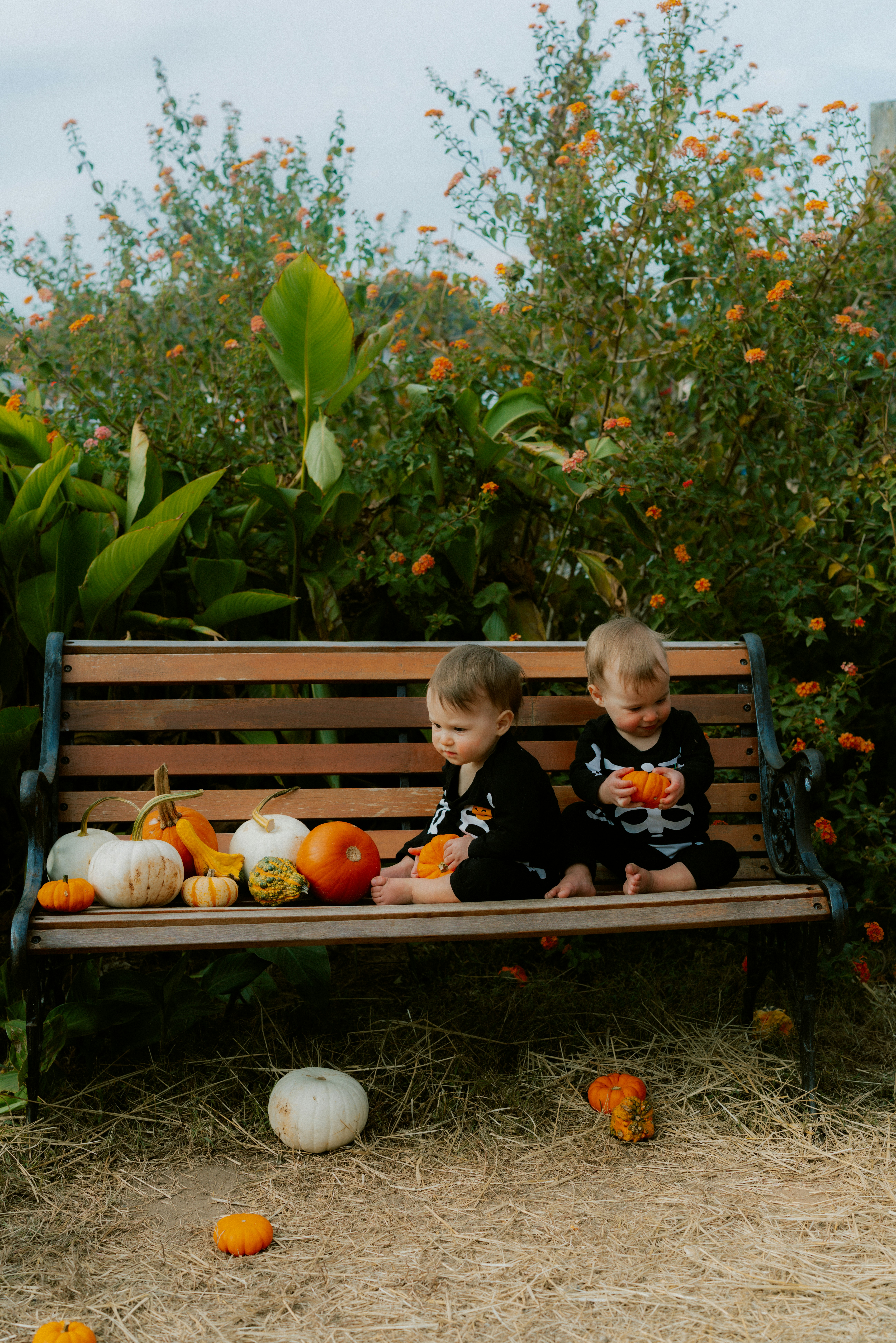 Photo by brookebalentine