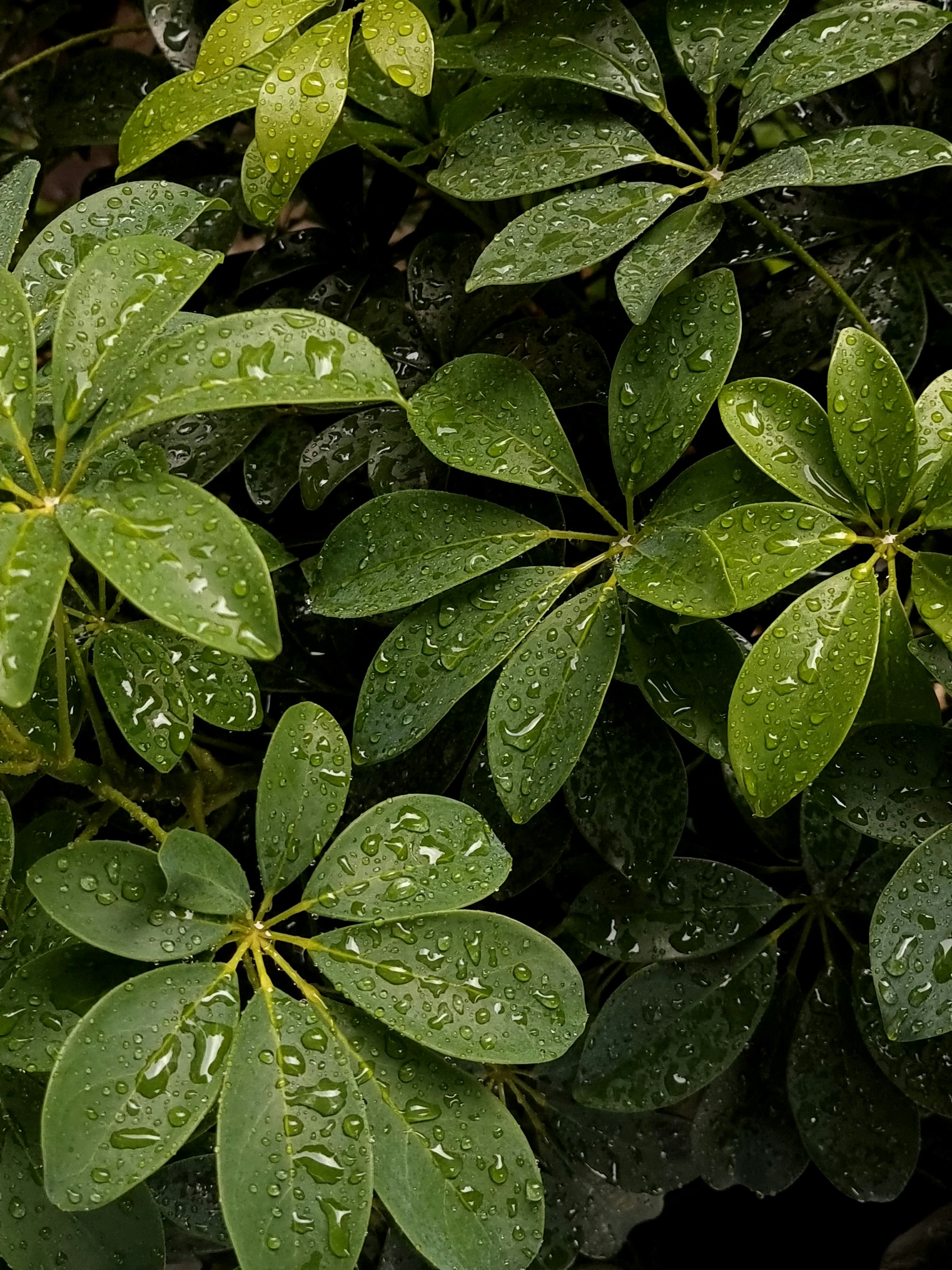 Photo by salmanidya8