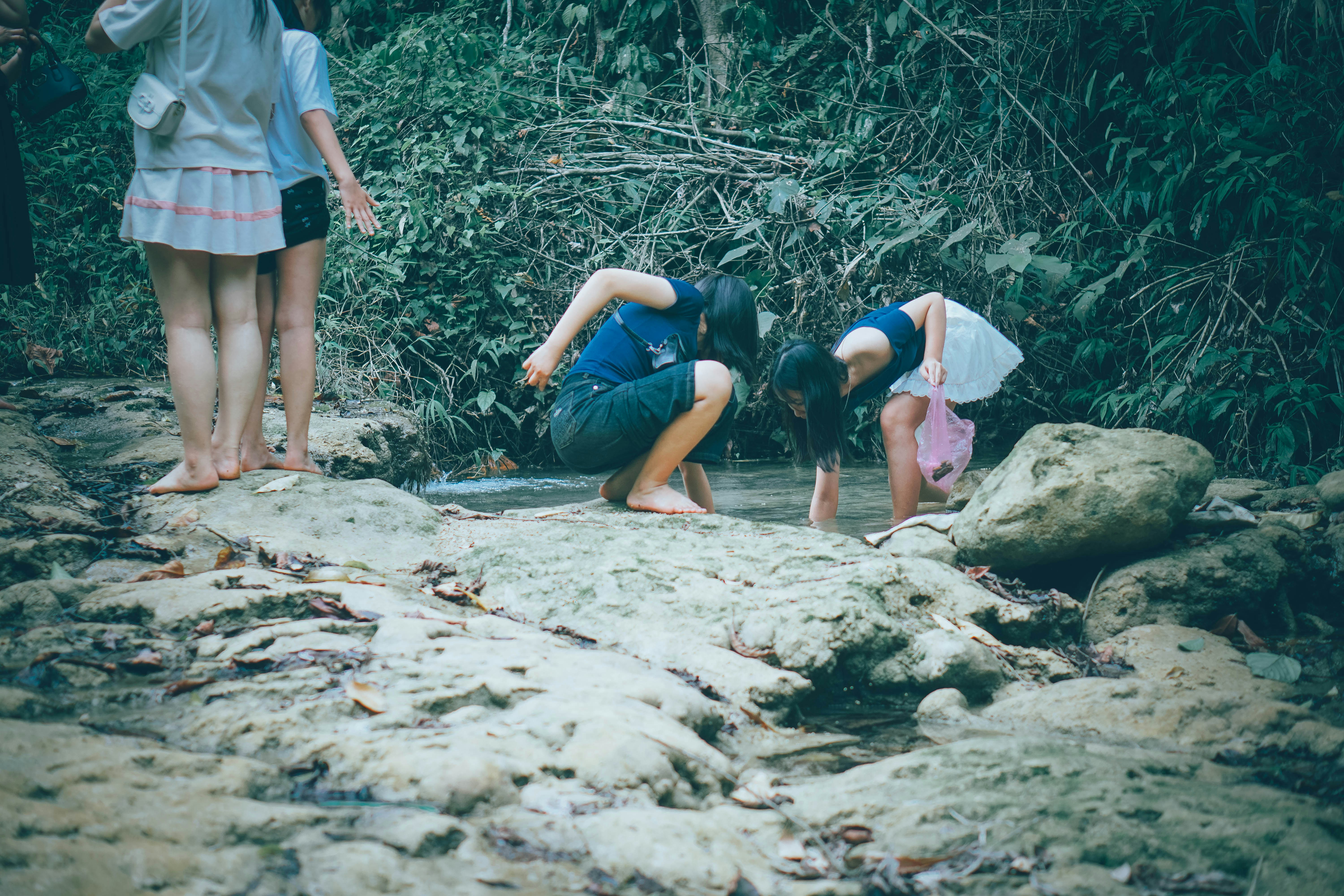 Children exploring a shallow stream in a forest.