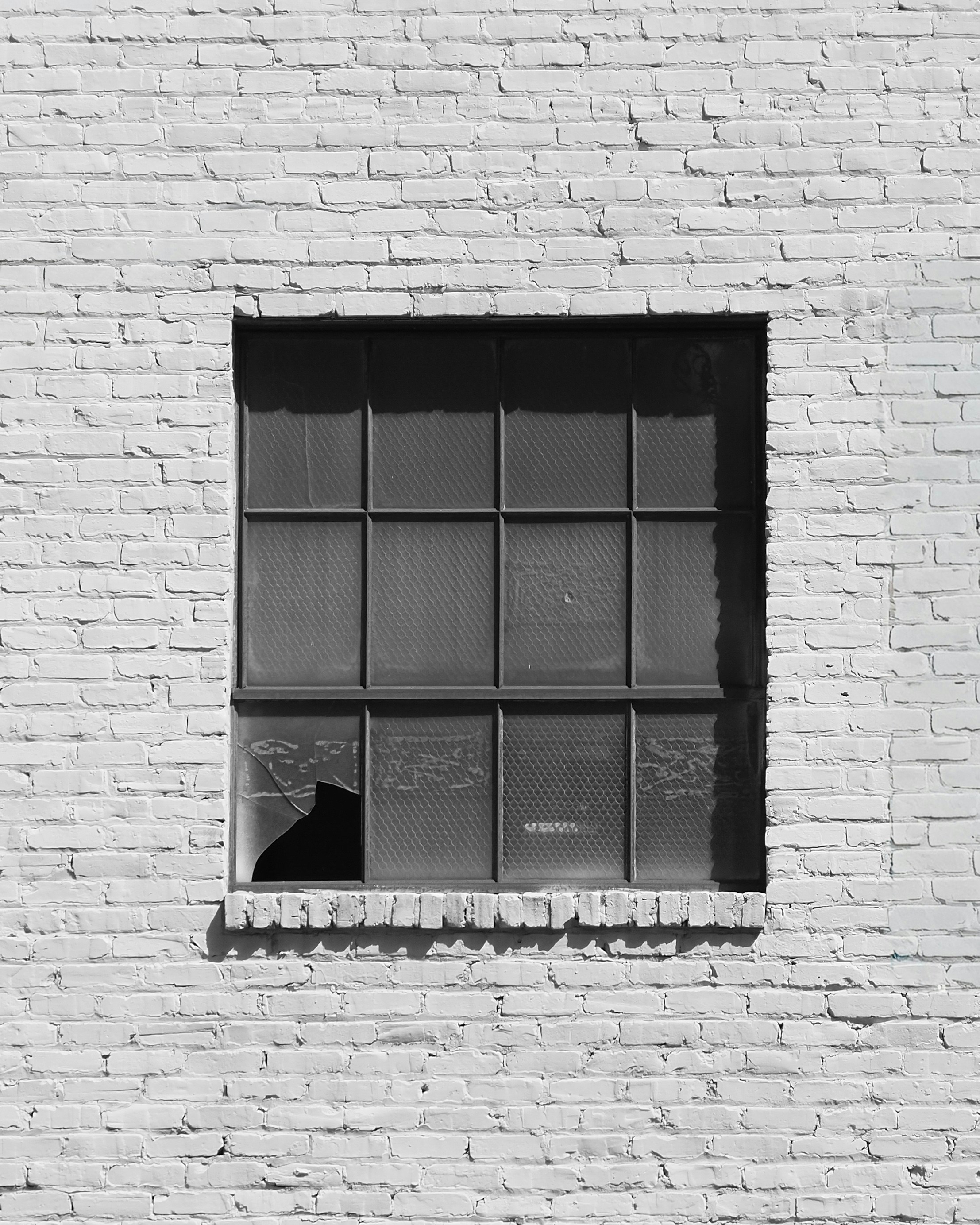 Photo by _zash_capturing