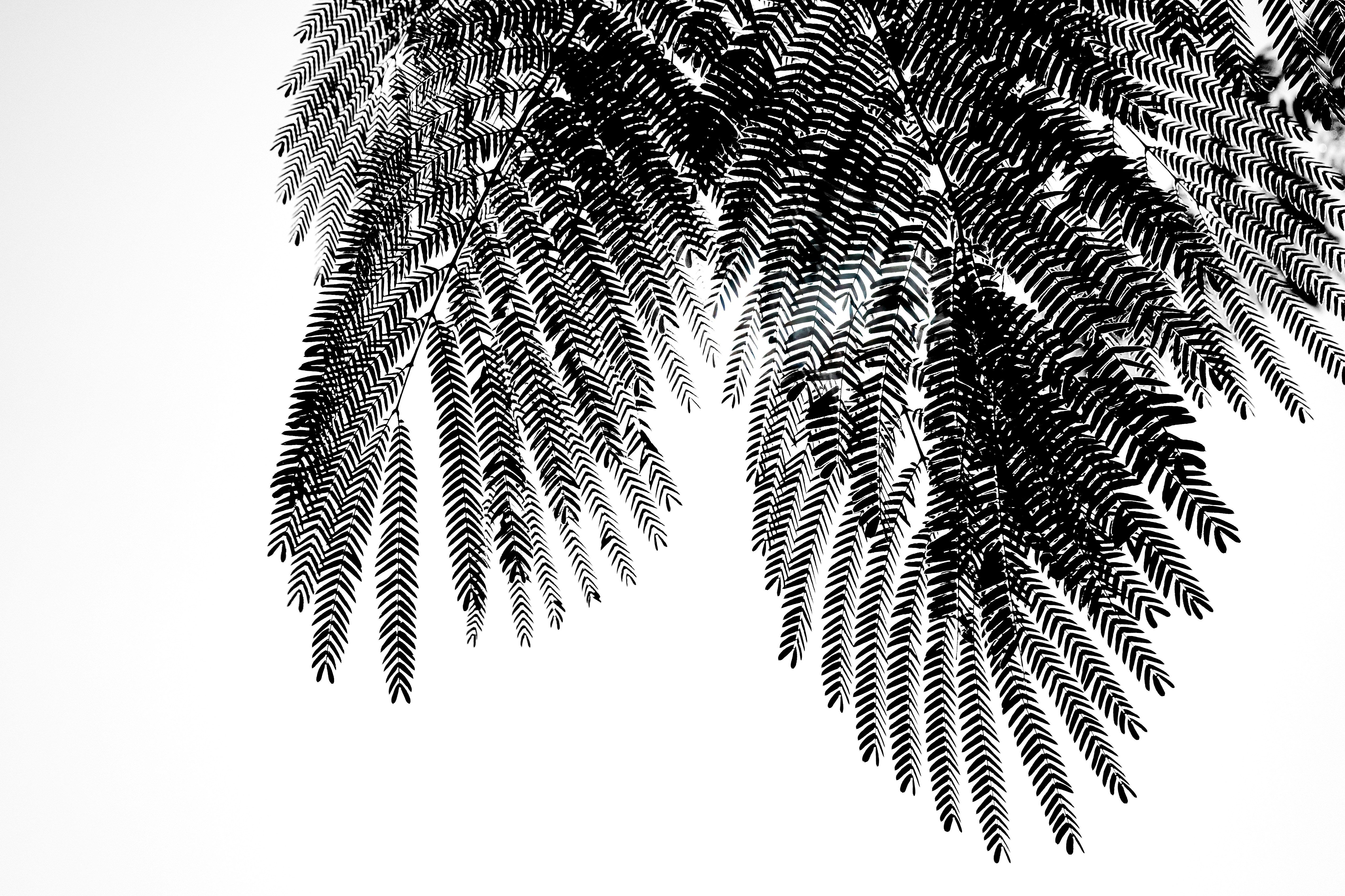 Photo by _zash_capturing