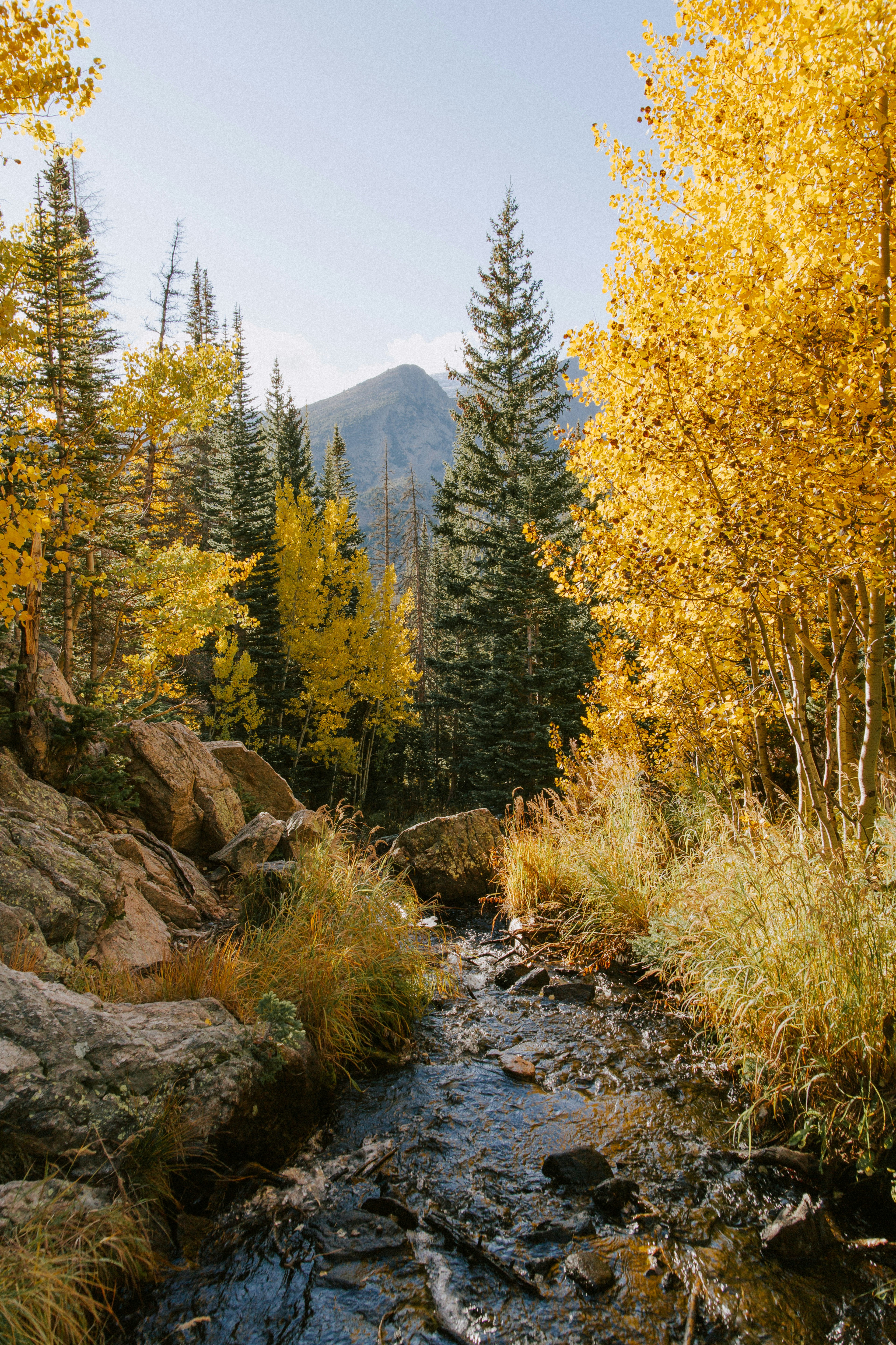 Photo by amandabirke