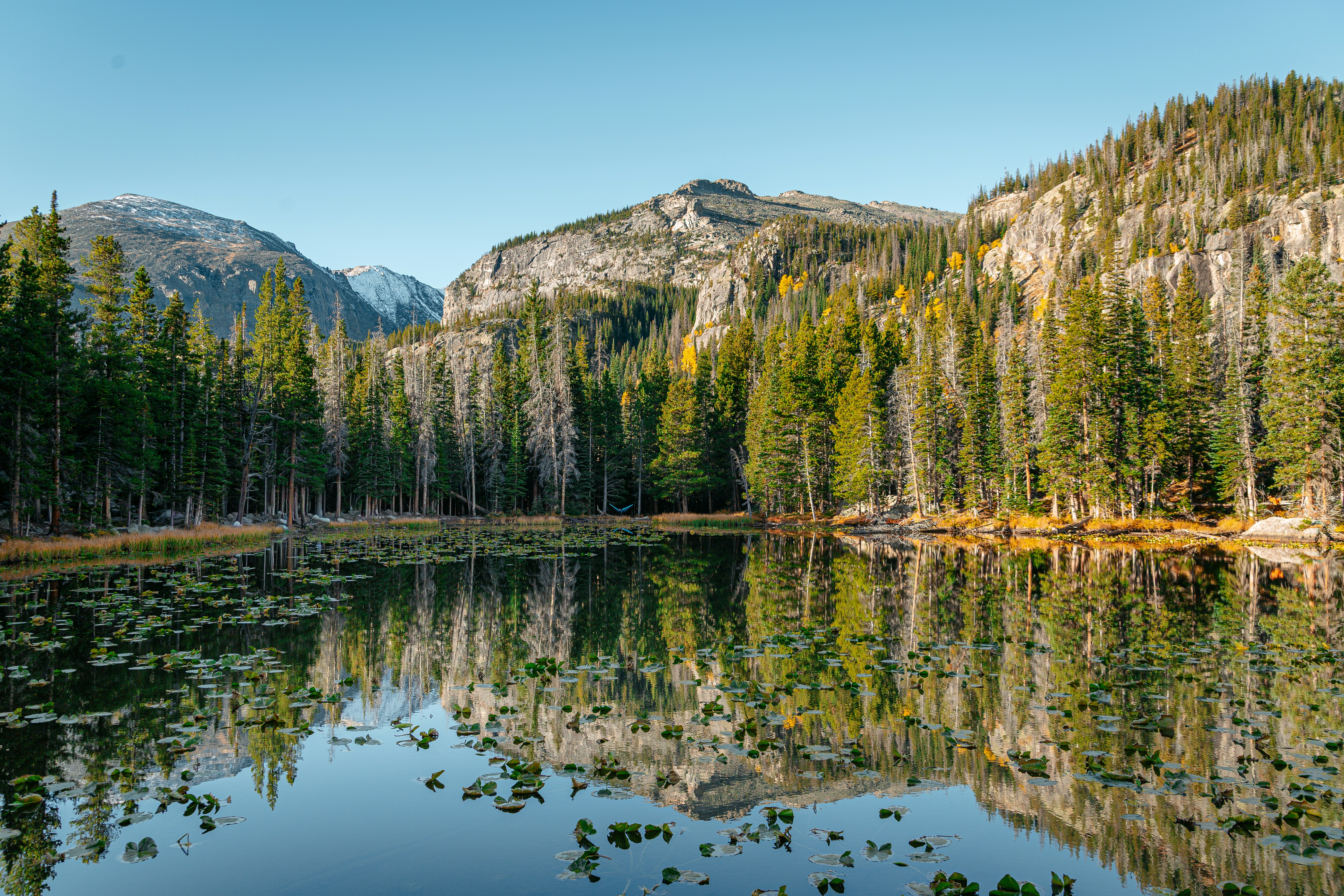 Photo by amandabirke