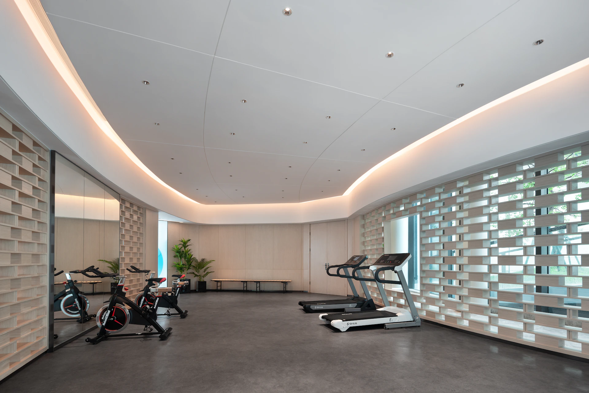 Modern gym with treadmills and stationary bikes