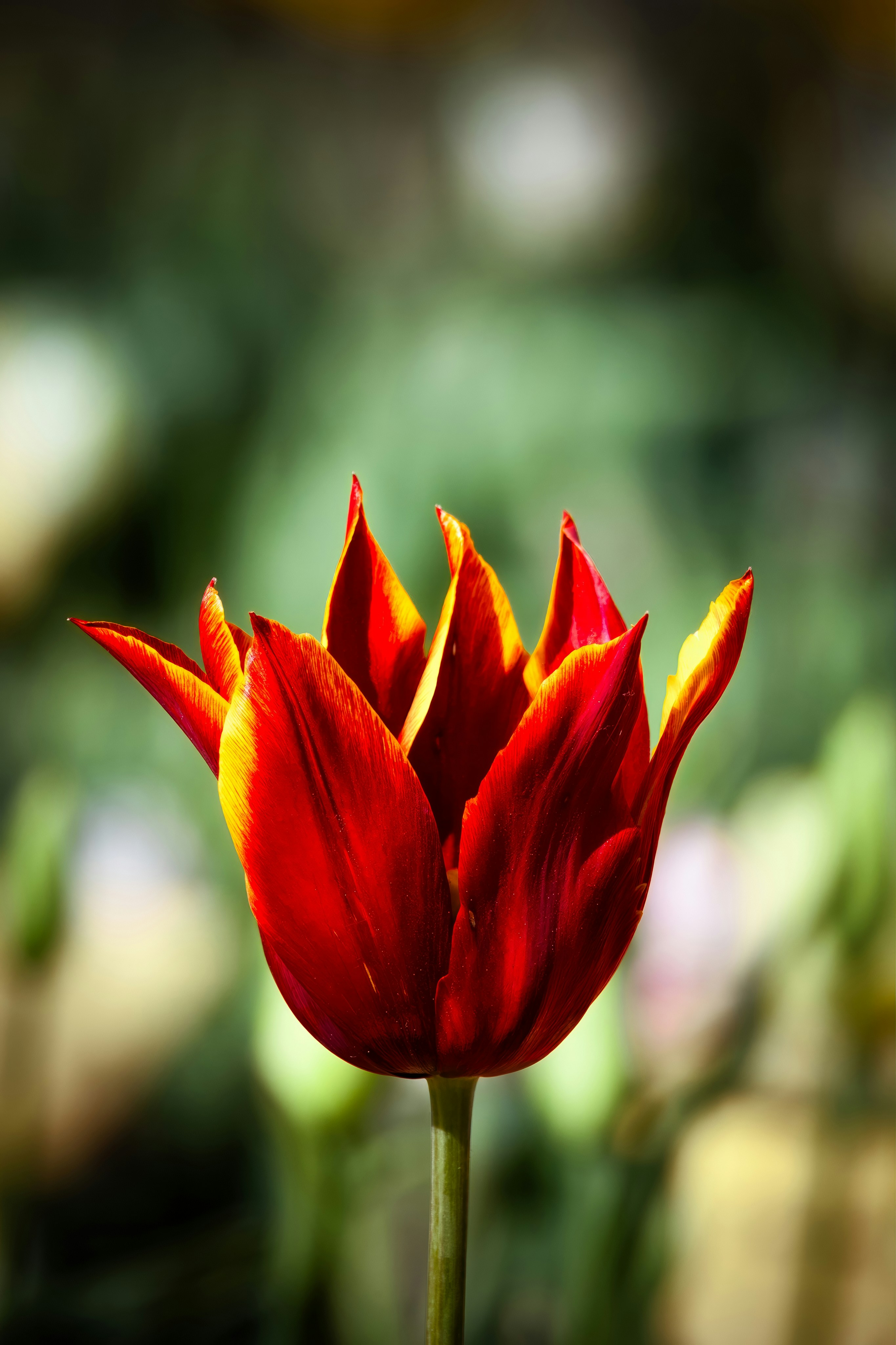 Photo by matt_liatkouski