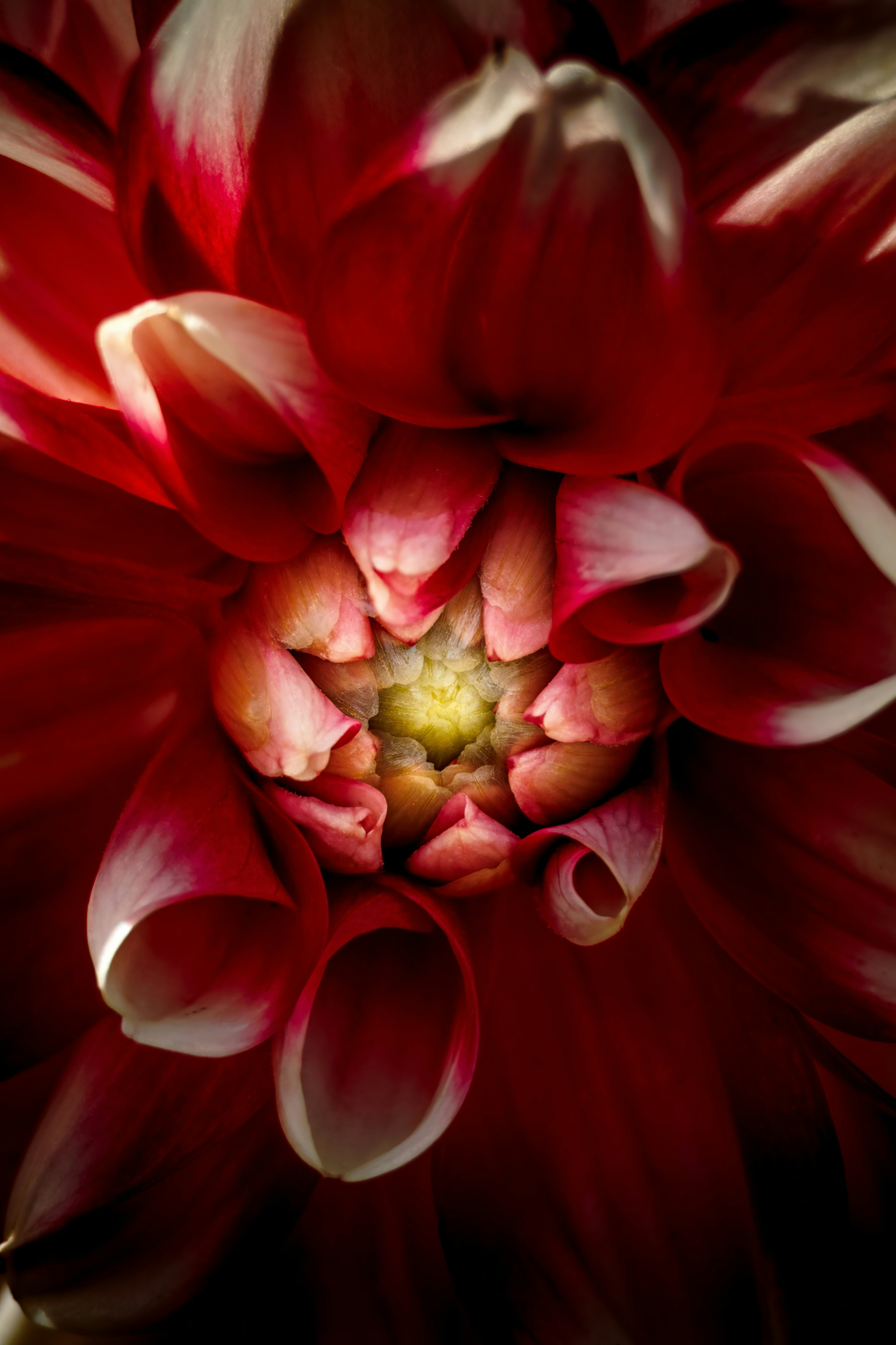 Photo by matt_liatkouski