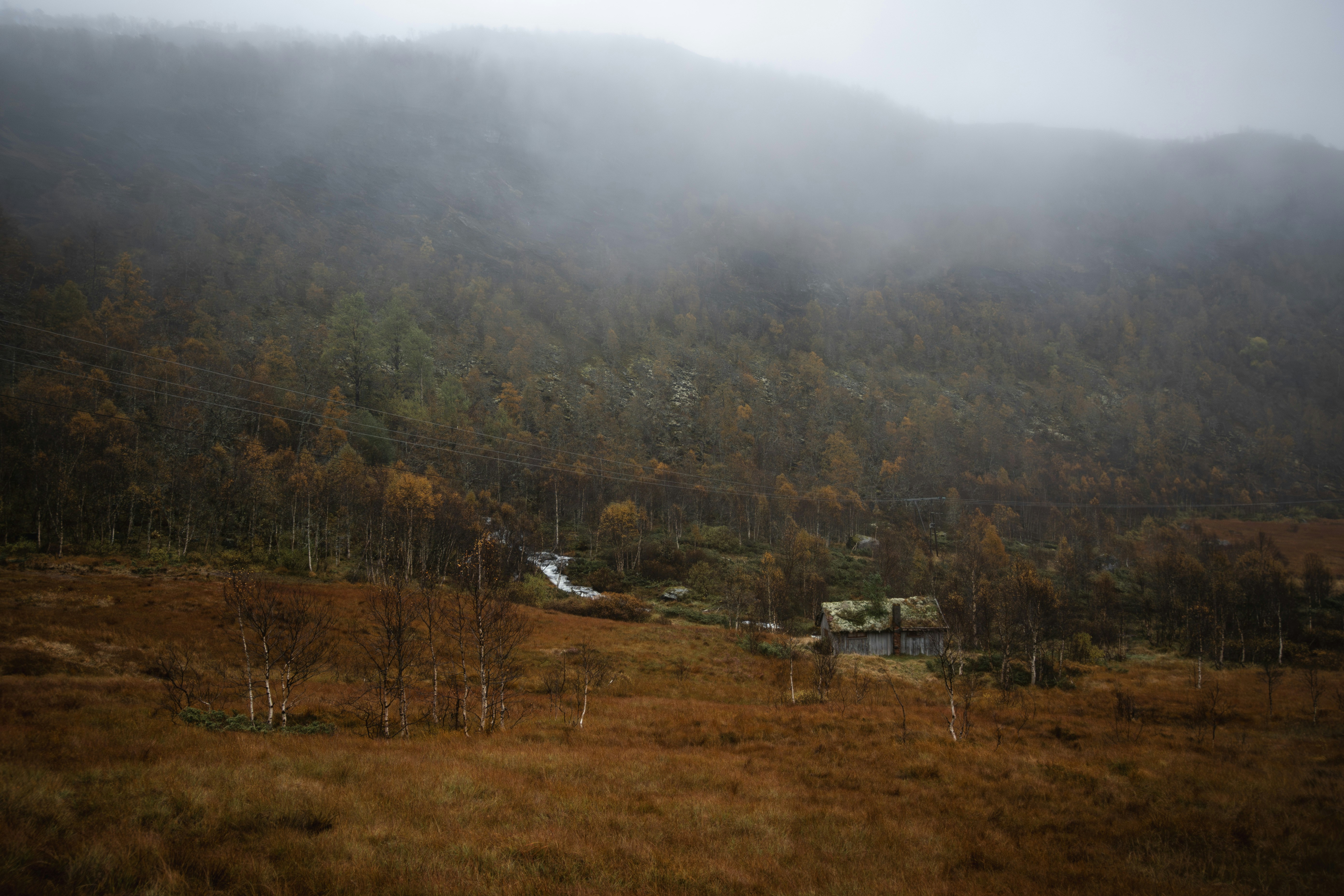 Nebelige Berglandschaft mit kleiner Hütte.