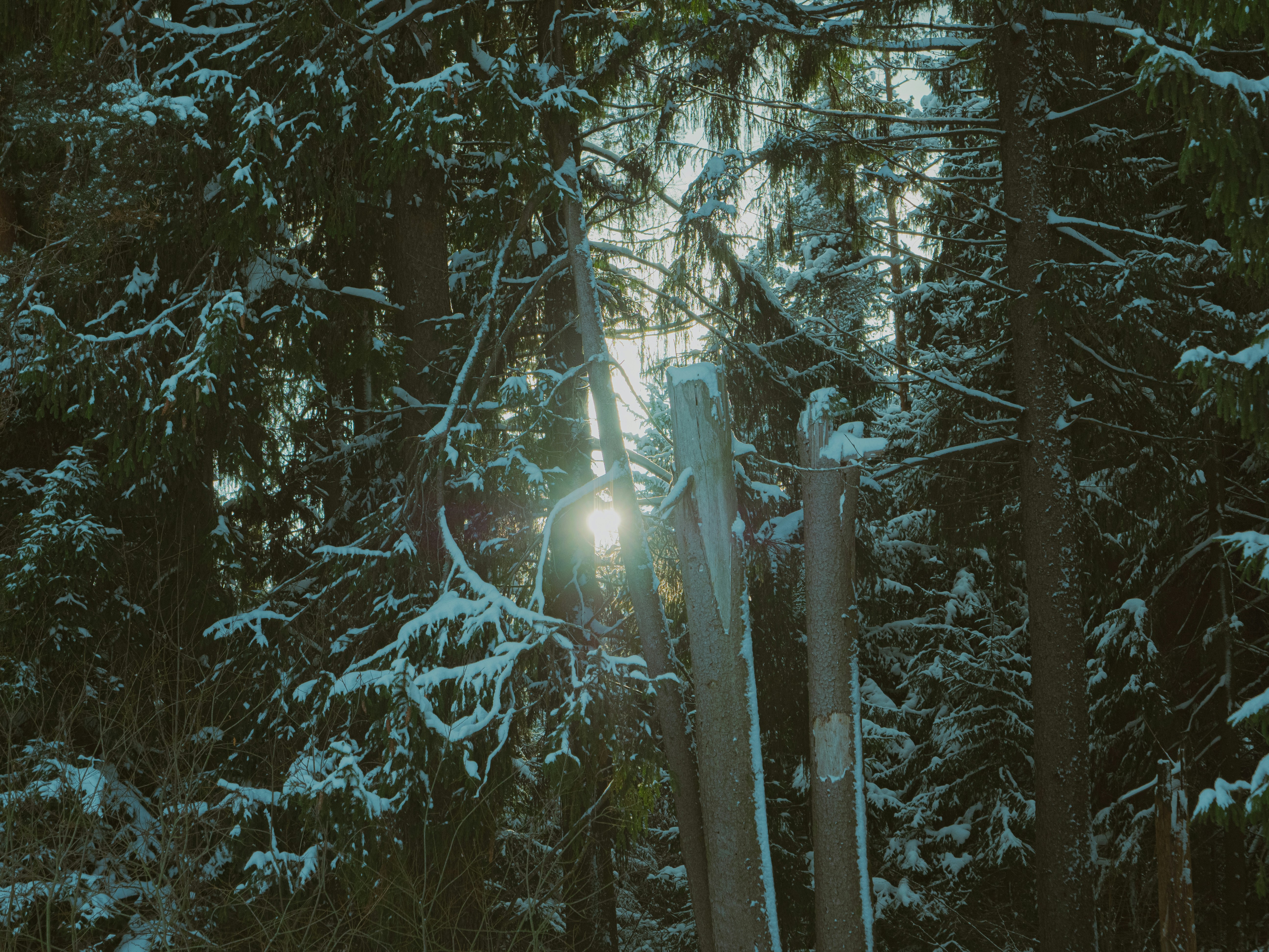 Photo by potokvarte