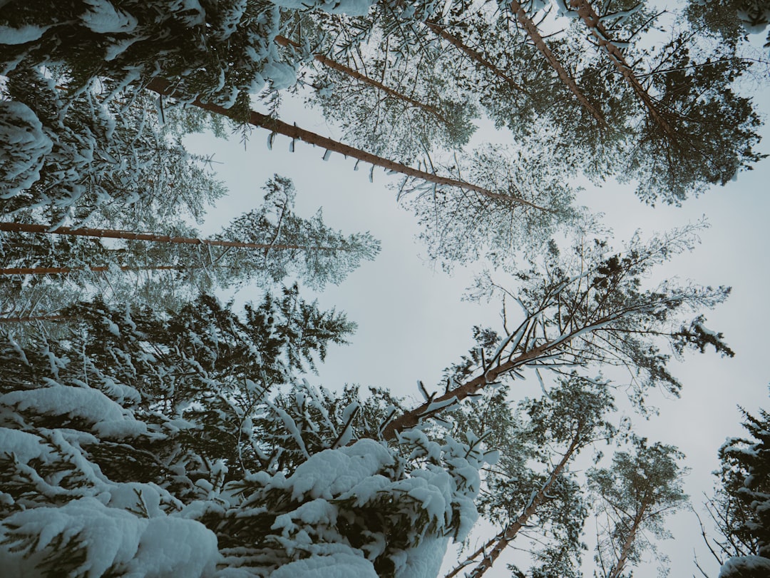 Dont Use App Testing