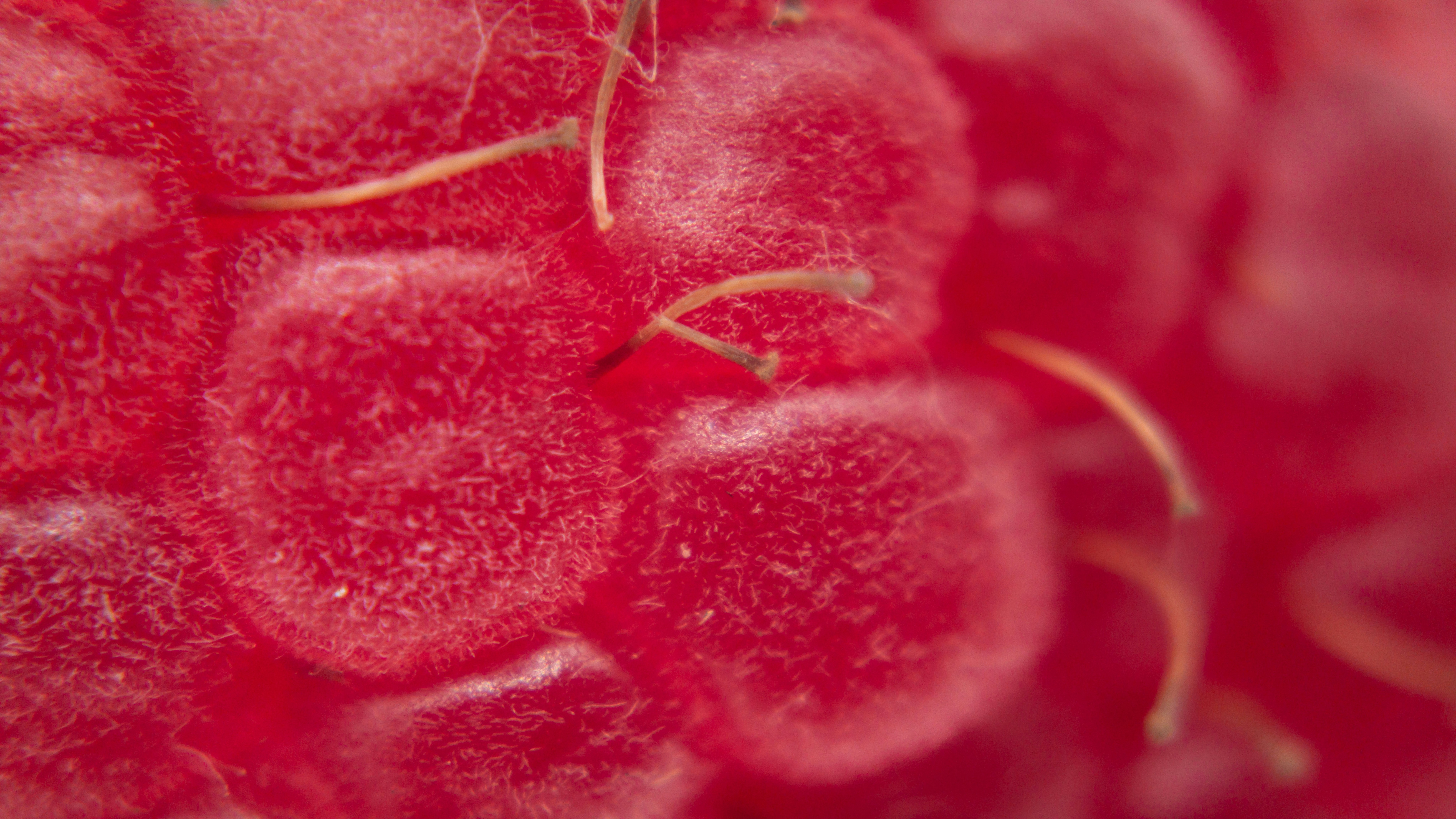 Photo by luanfonsecavisuals