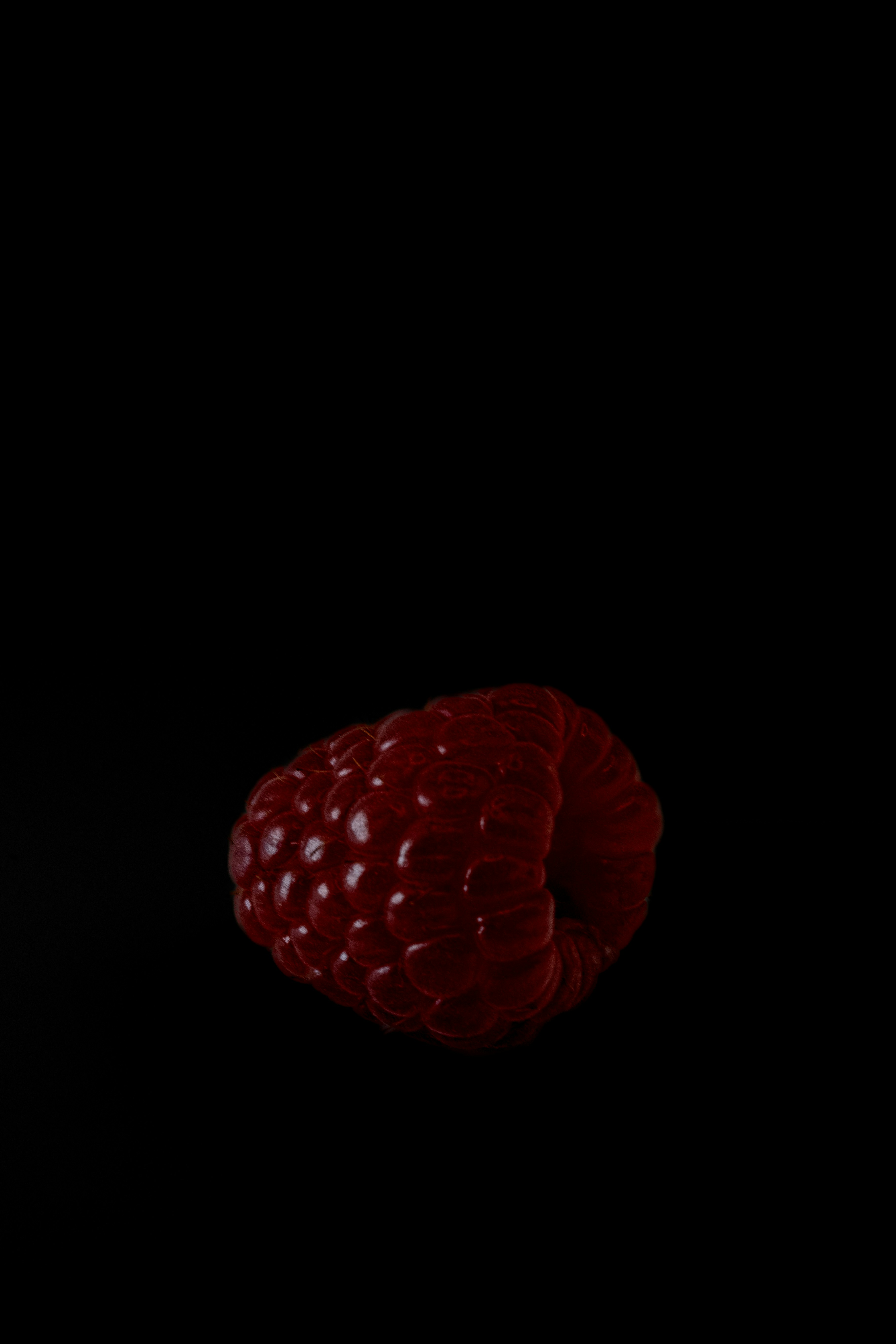 Photo by luanfonsecavisuals