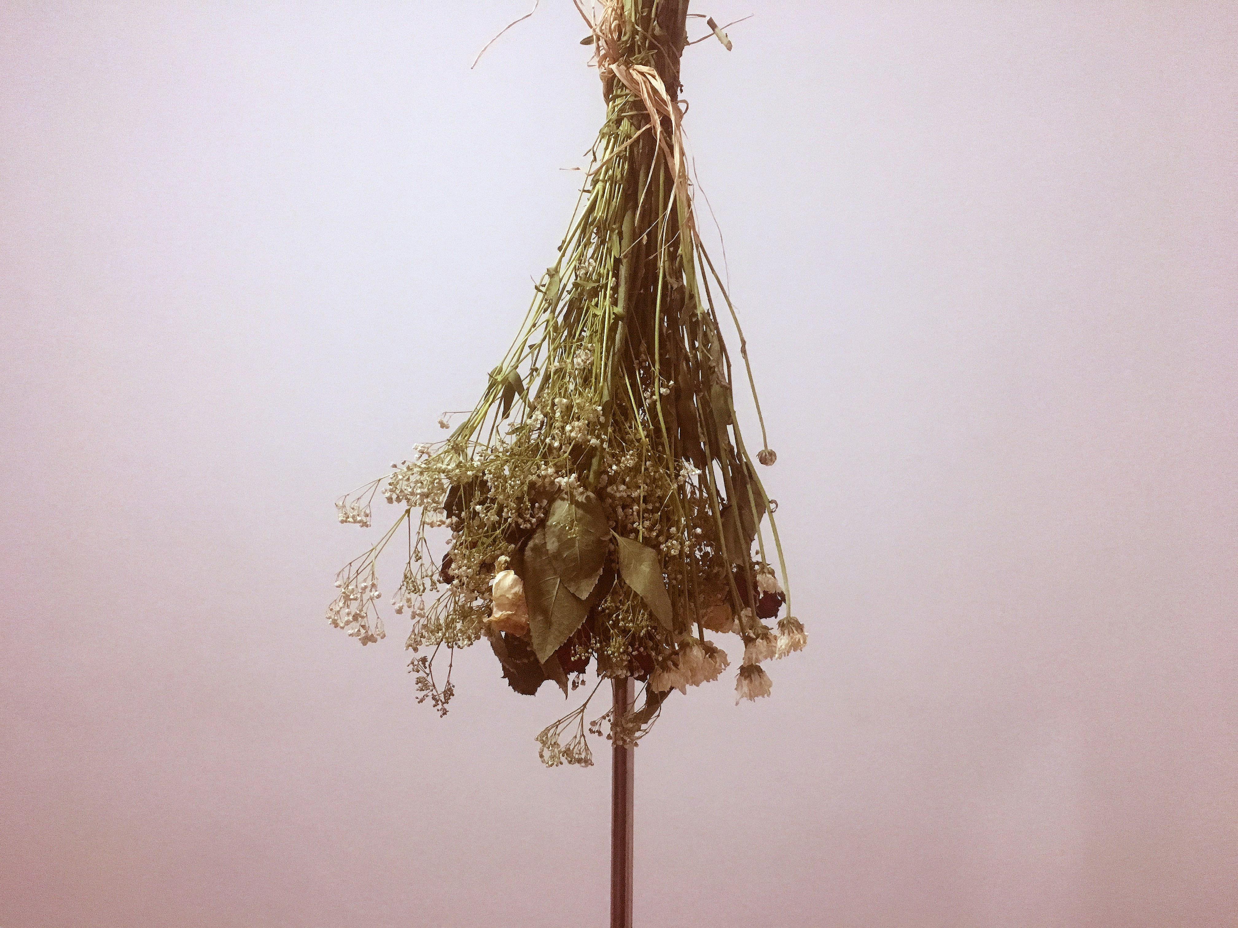 Manojo de flores secas colgando boca abajo