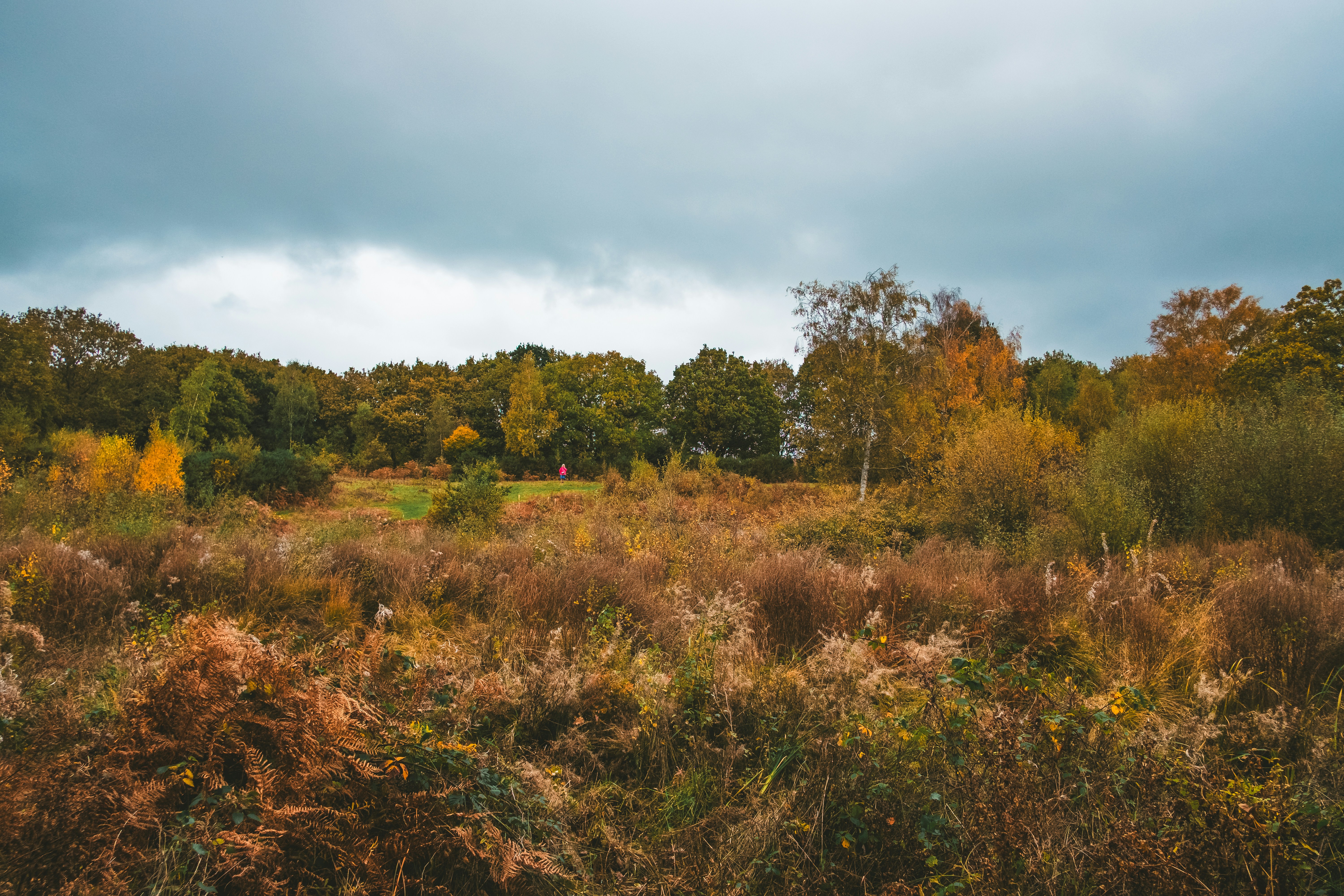 Photo by famyklebust