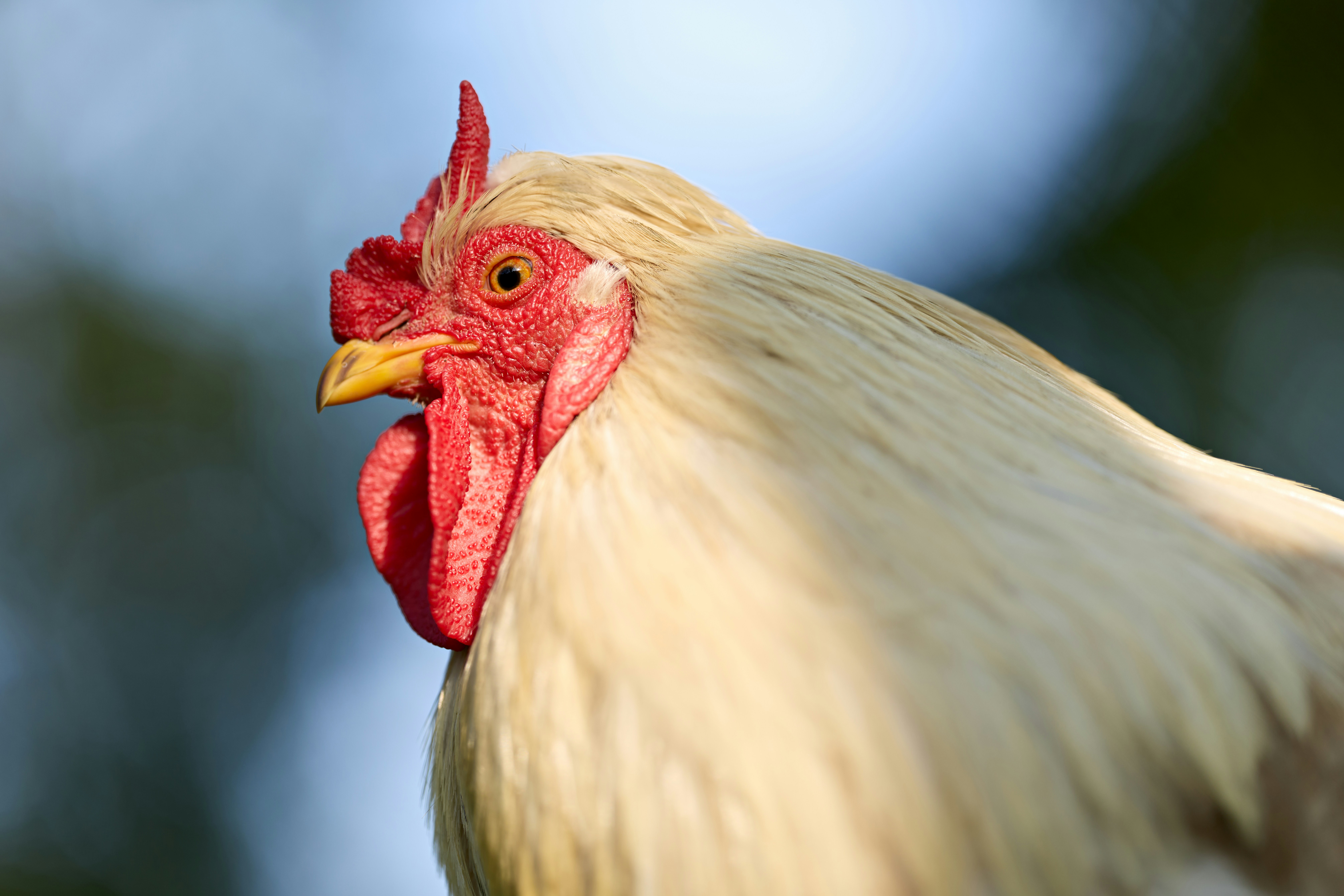 Photo by erwinbosman