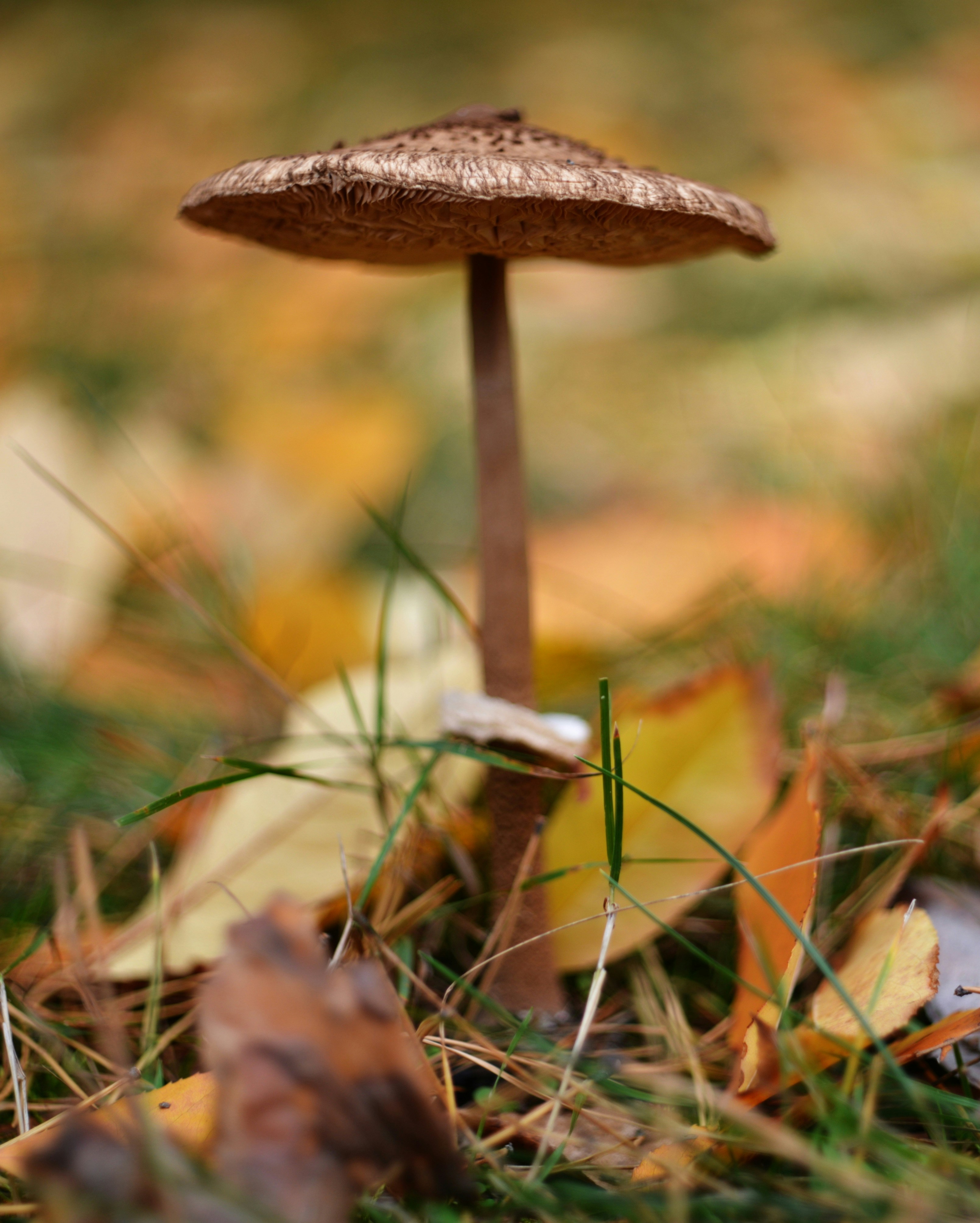 Photo by cherstve_pechivo