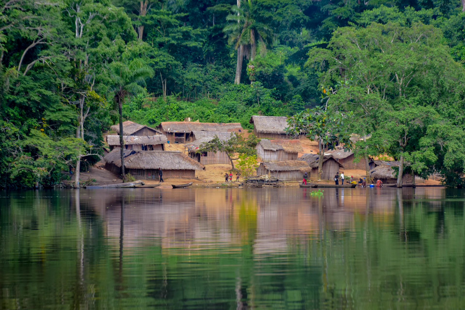 Village nestled in lush green jungle by calm water