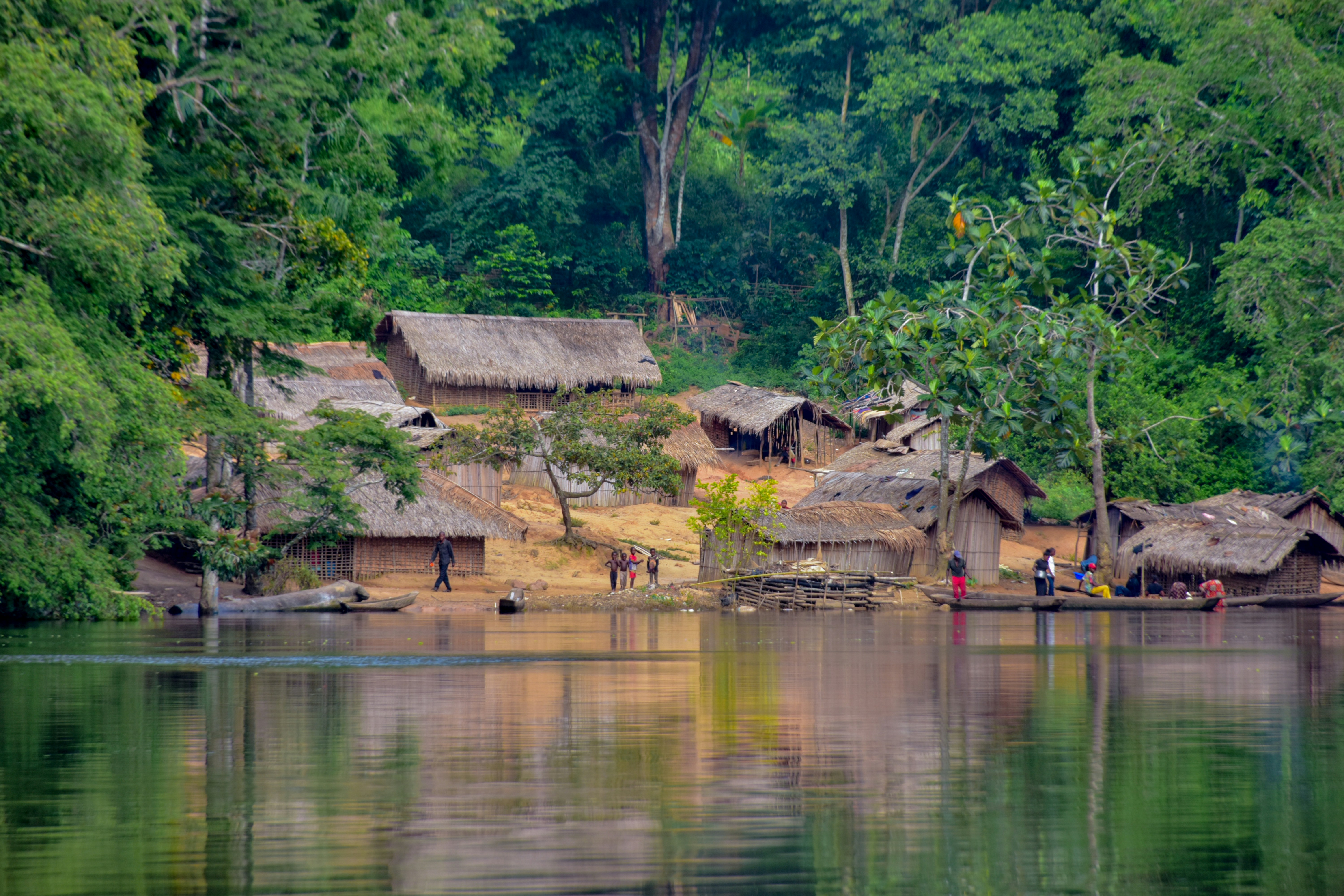Village on the riverbank surrounded by lush green forest.