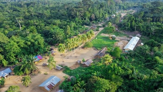 Aerial view of a flooded village surrounded by lush jungle.