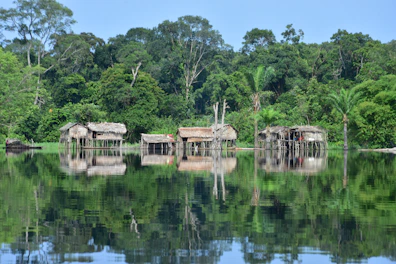 Stilt houses reflected in calm water with lush forest background