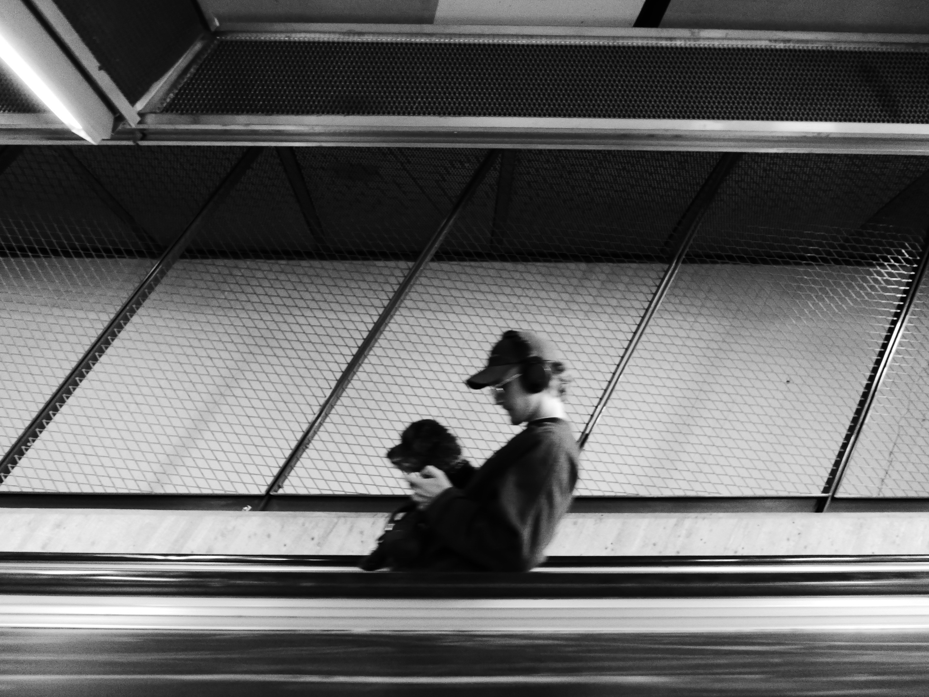 Person wearing a baseball cap with a dog