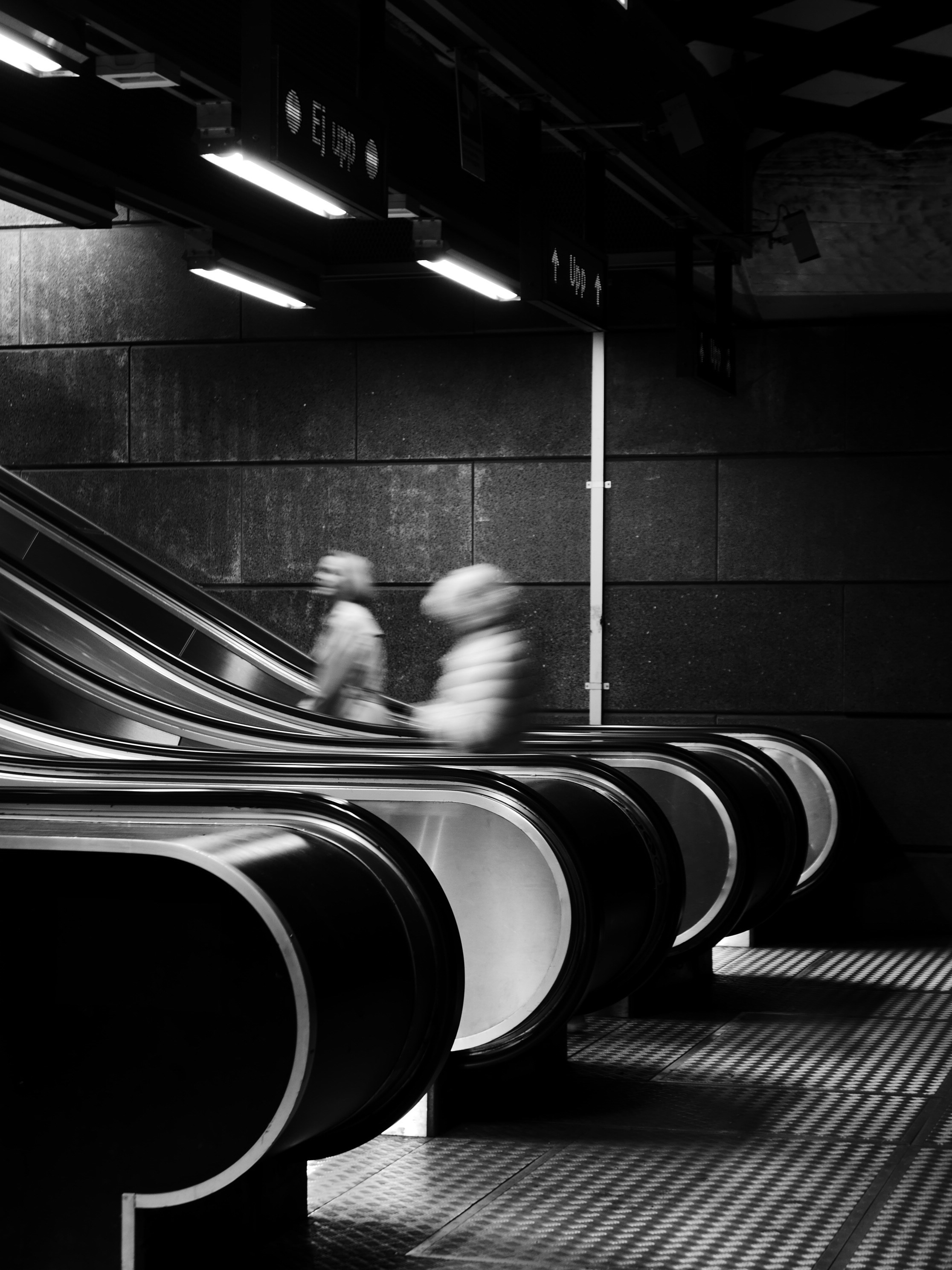 Photo by basgicilarelif