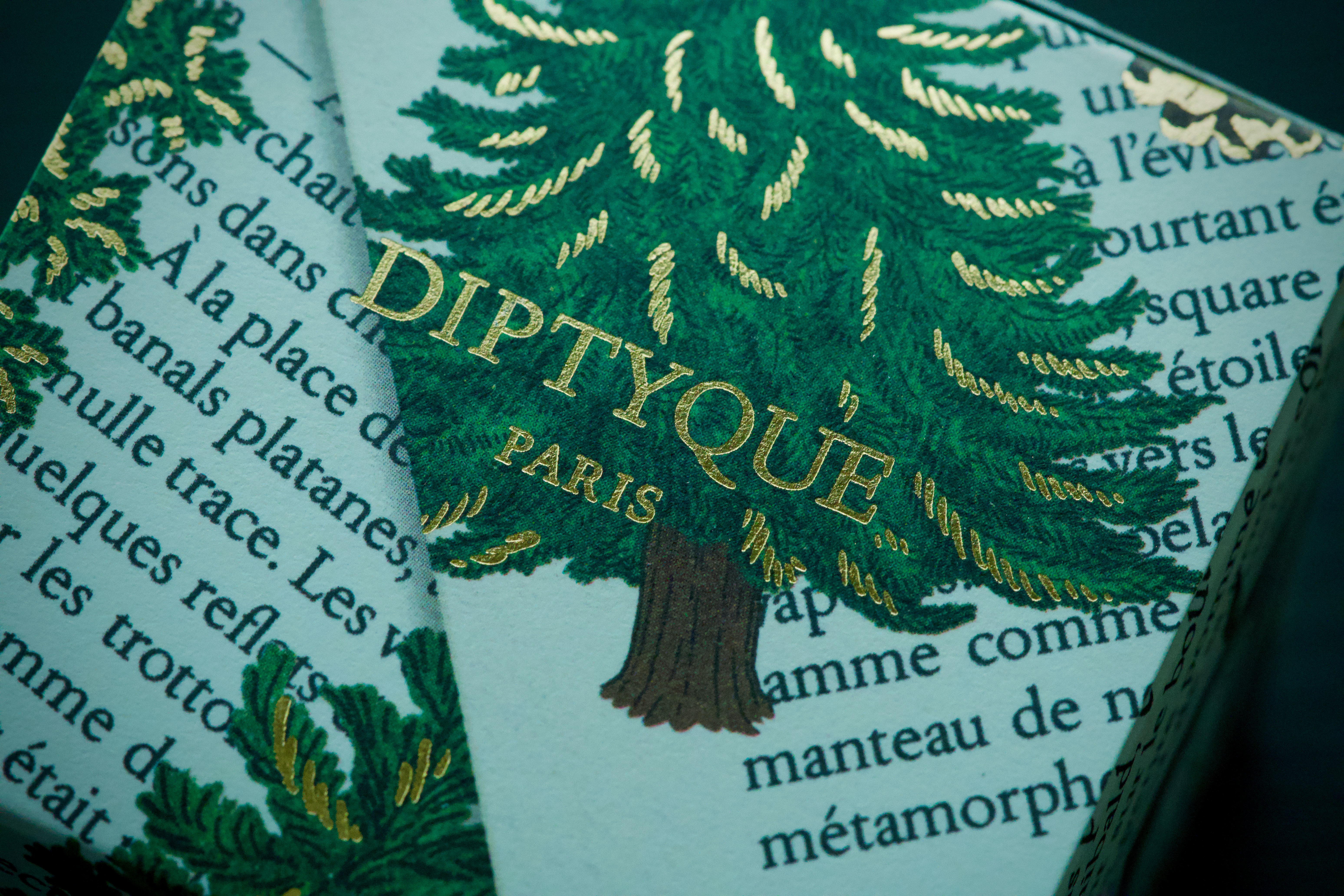 Afbeelding van Diphoorn