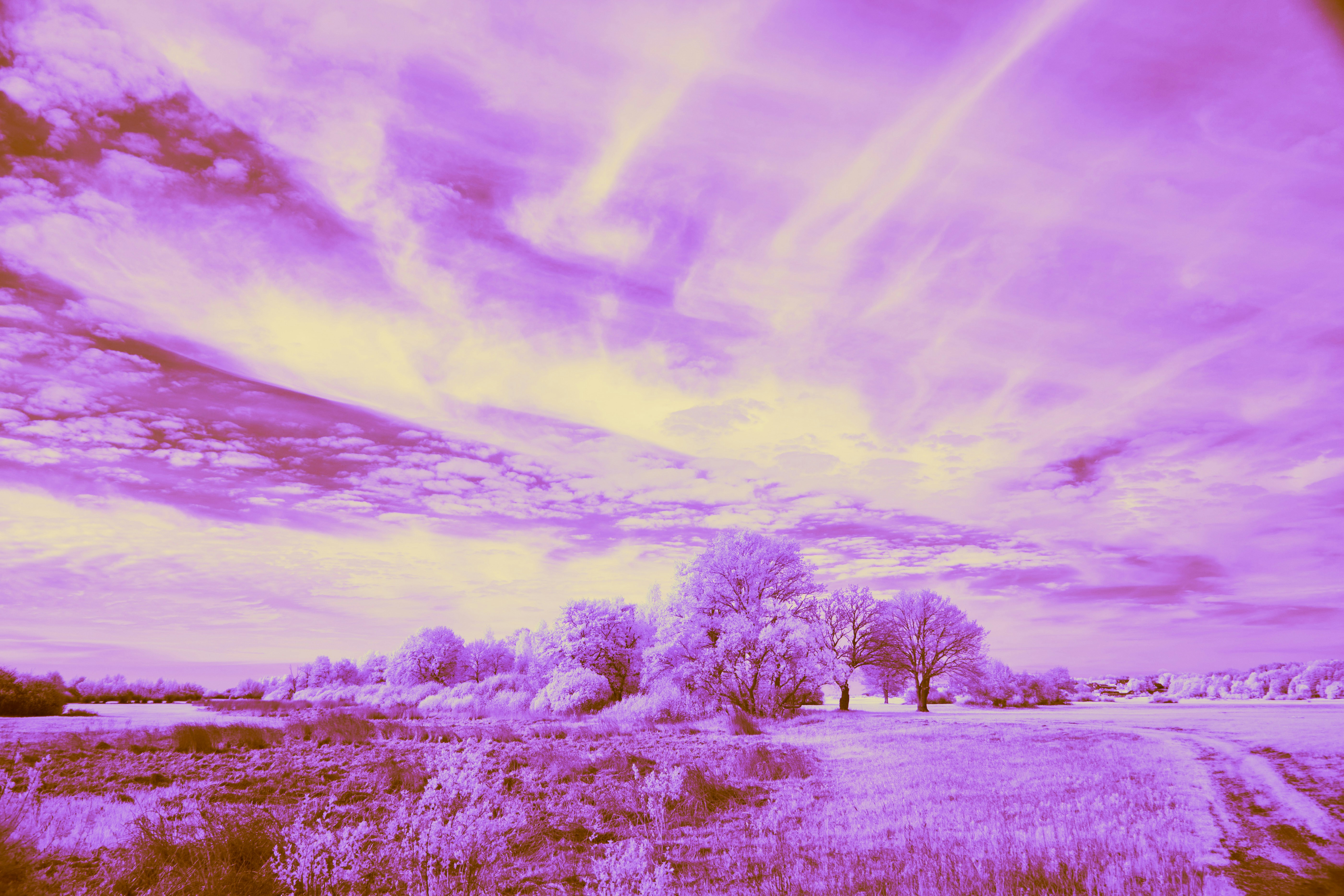 Photo by wolfgang_hasselmann