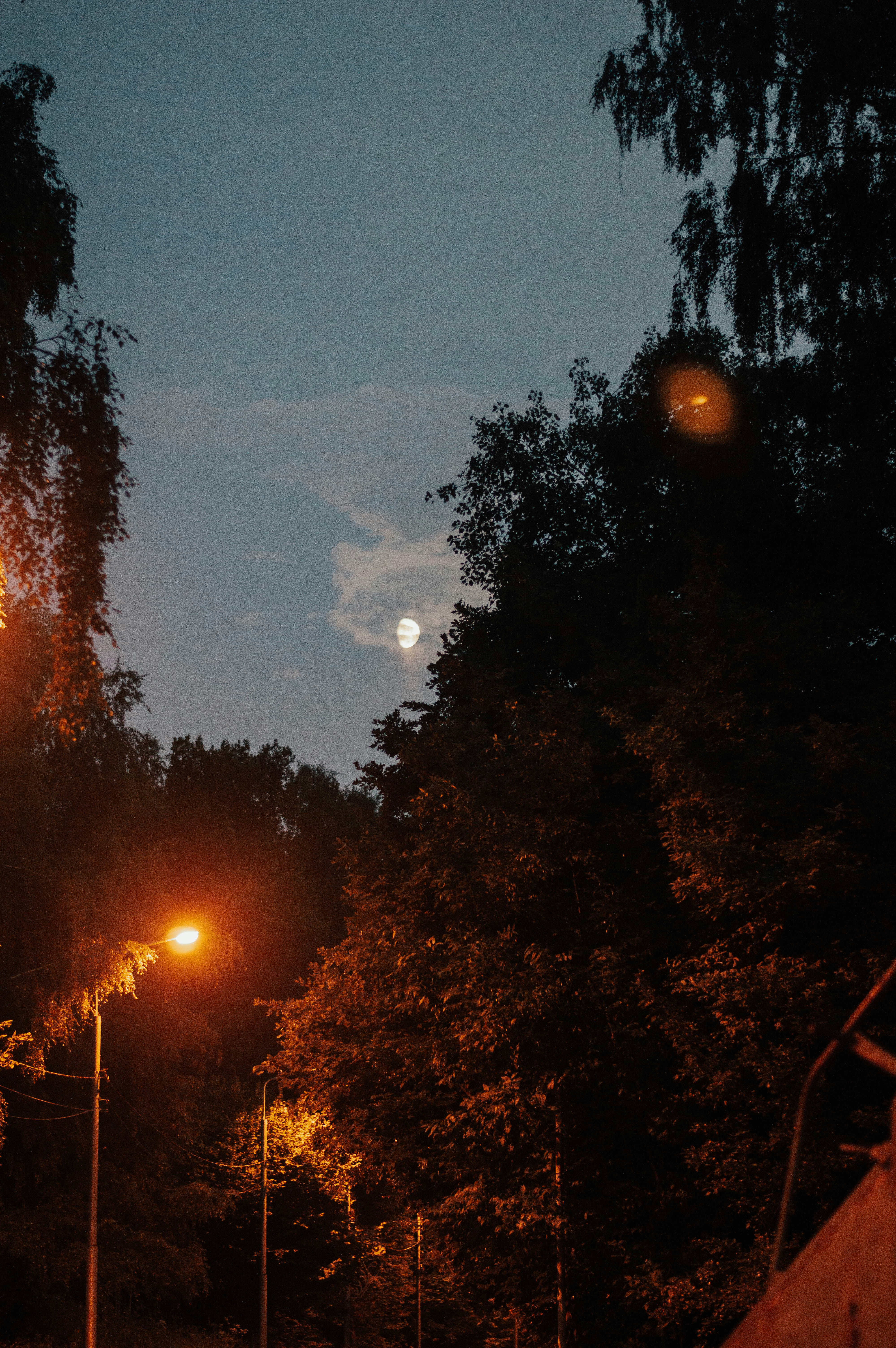 Photo by andrei11948