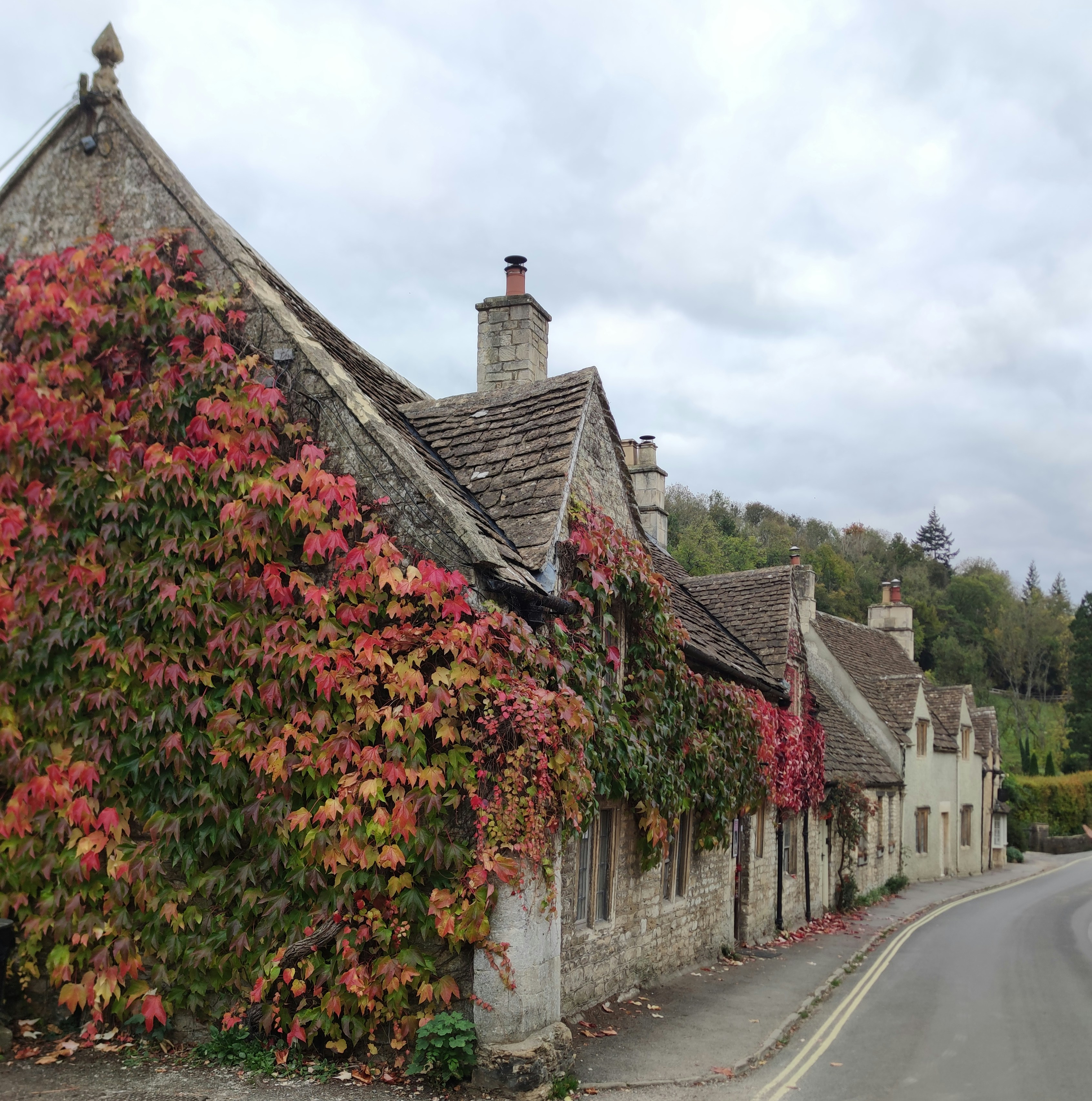 Stone cottages with autumn foliage on the wall.