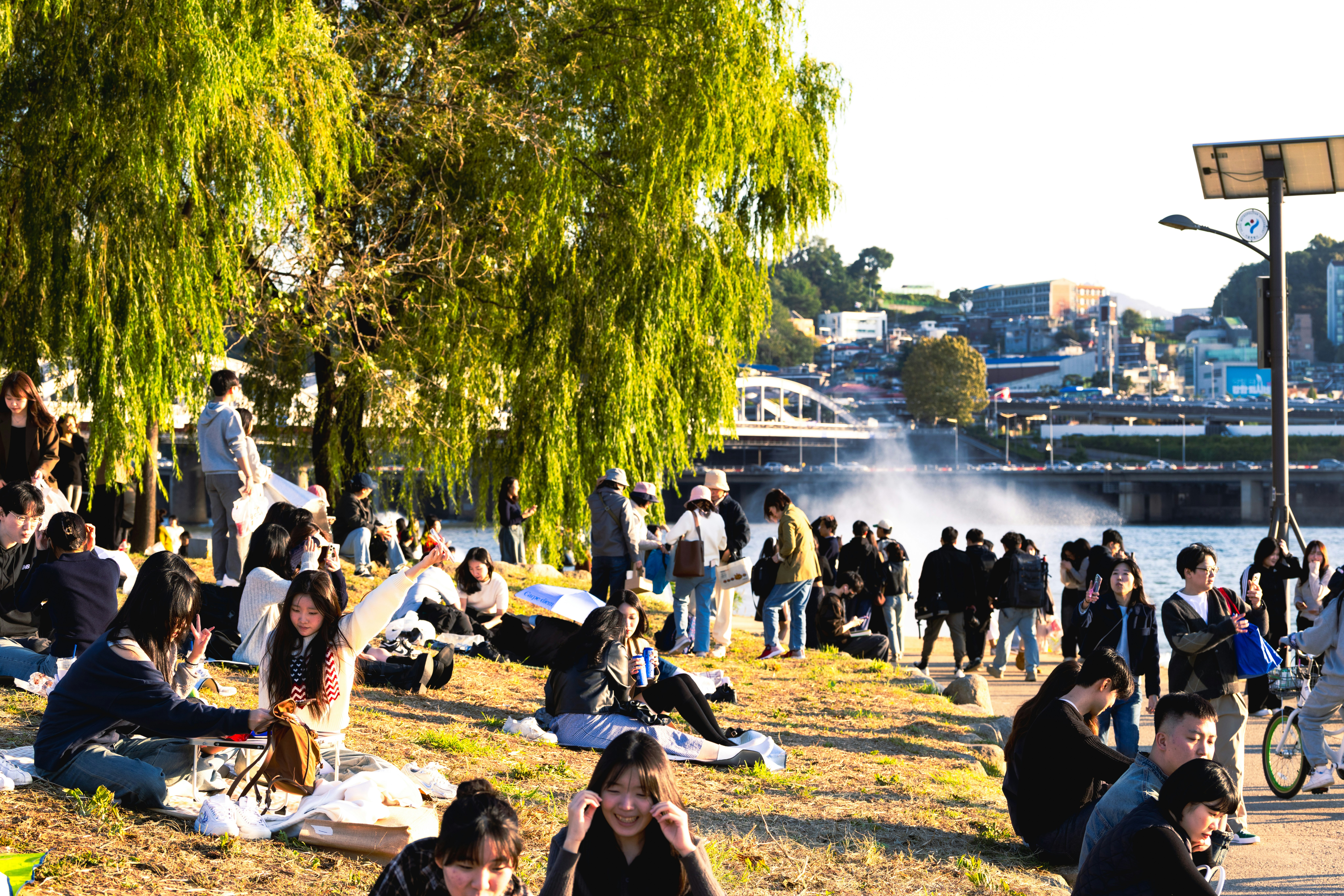 People relaxing by a river on a sunny day.
