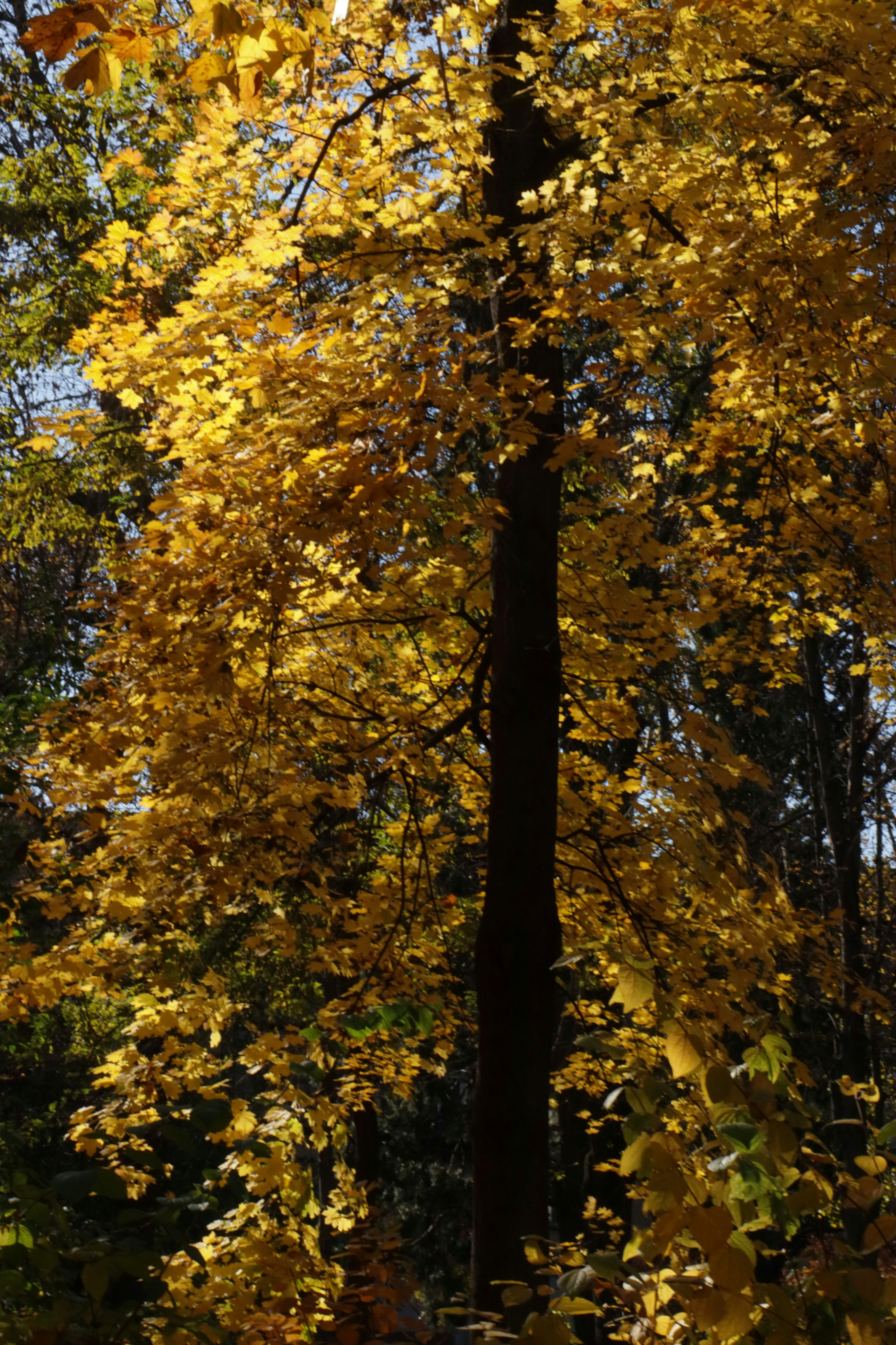 Photo by bored_mongoose