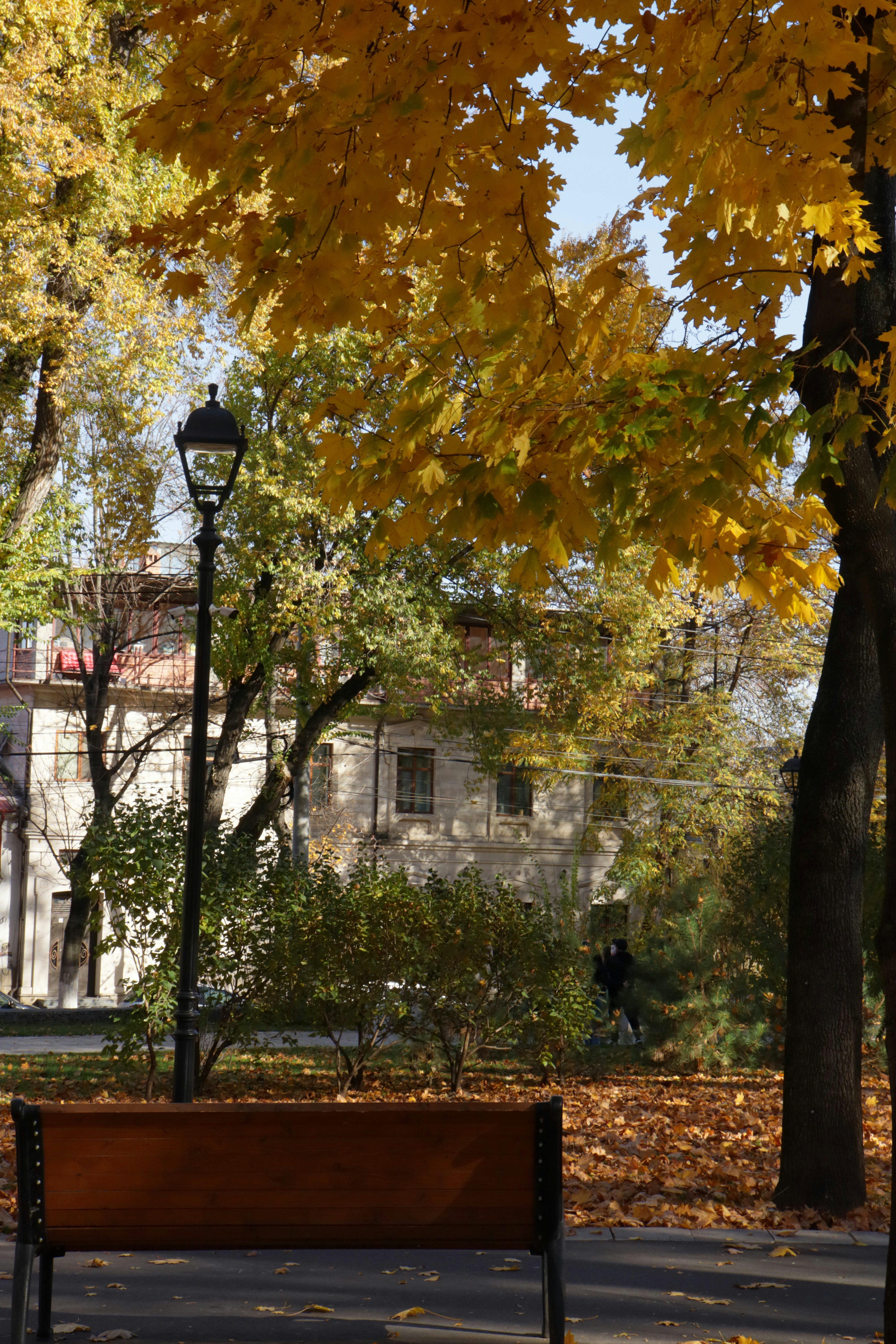 Photo by bored_mongoose