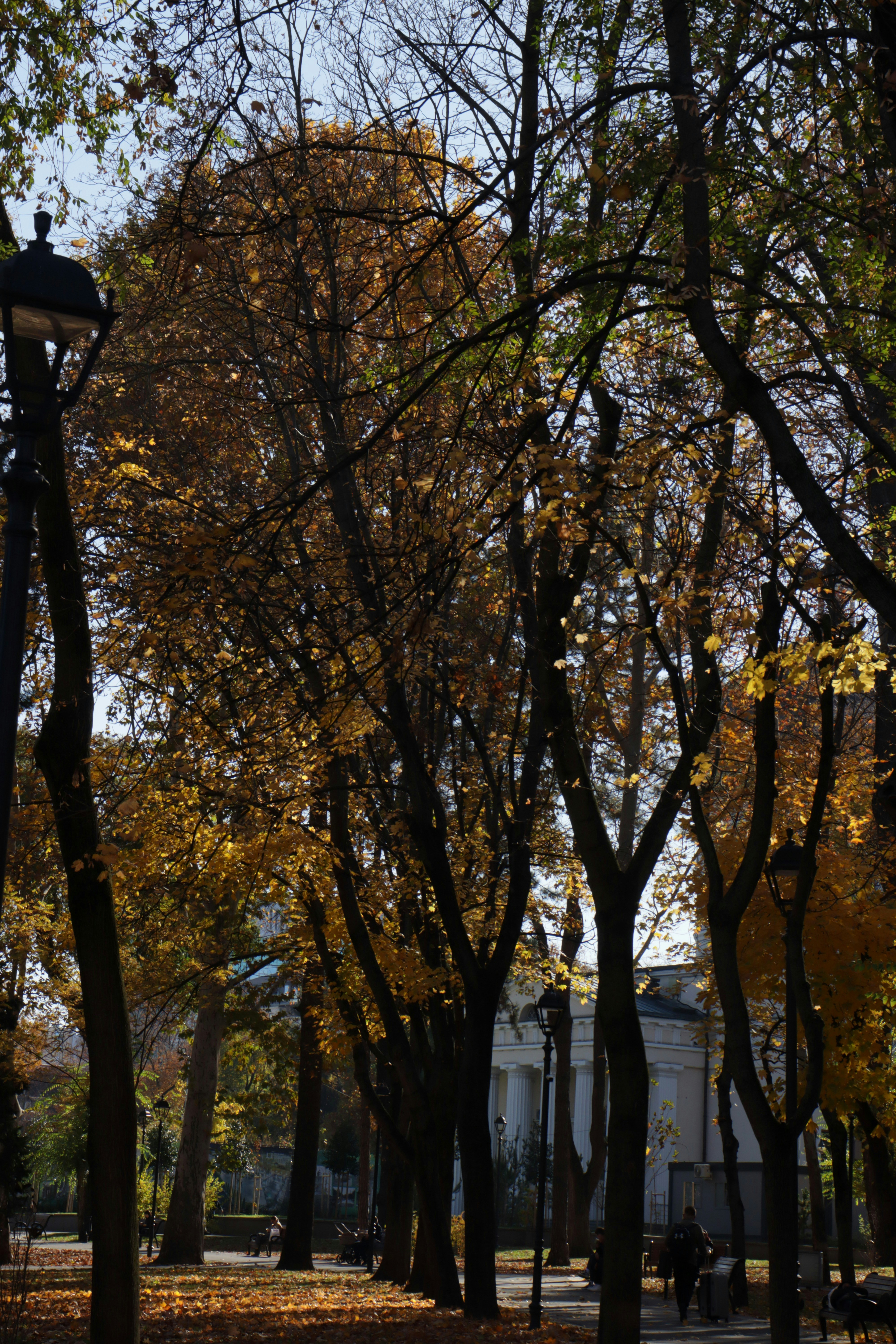 Photo by bored_mongoose