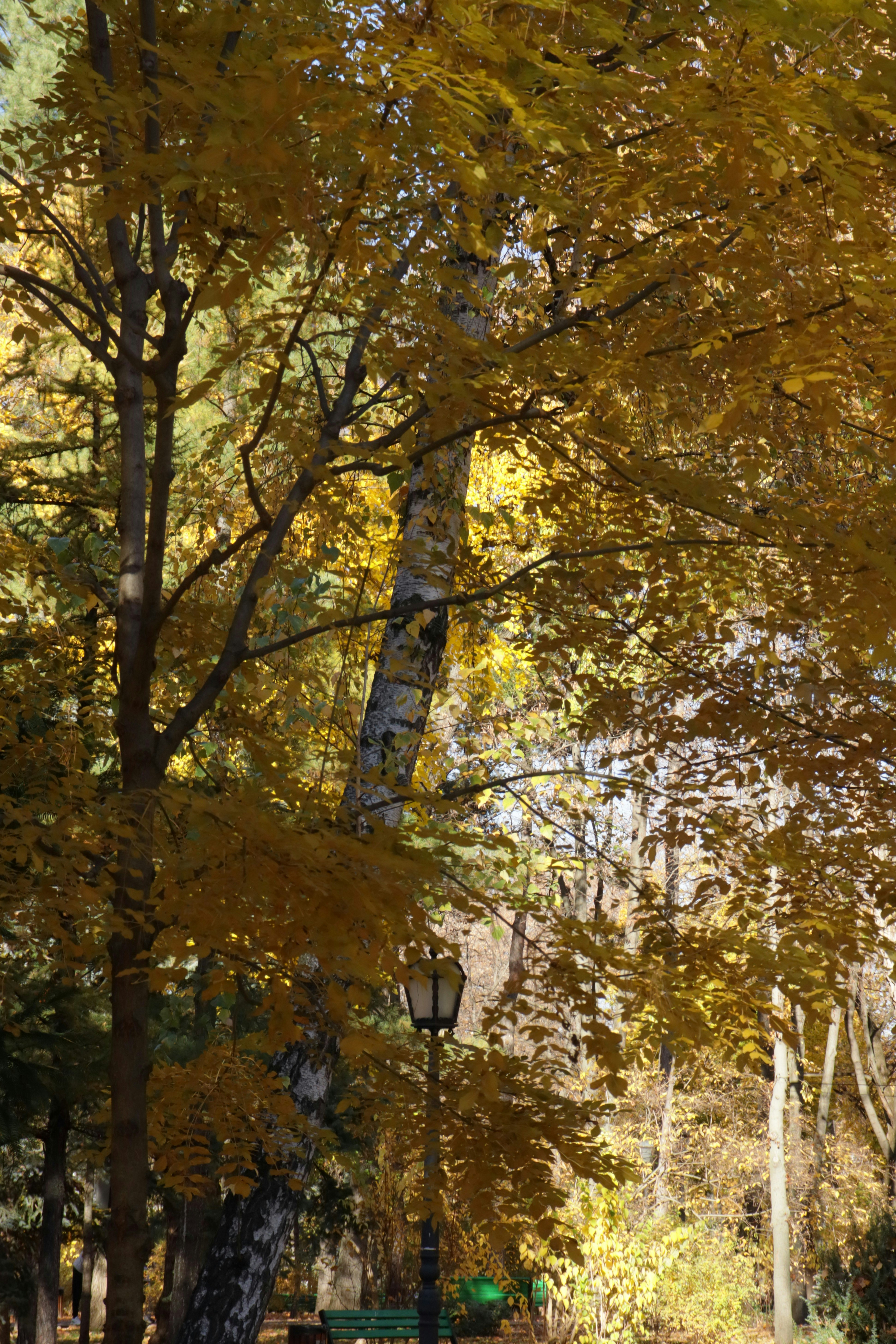 Photo by bored_mongoose