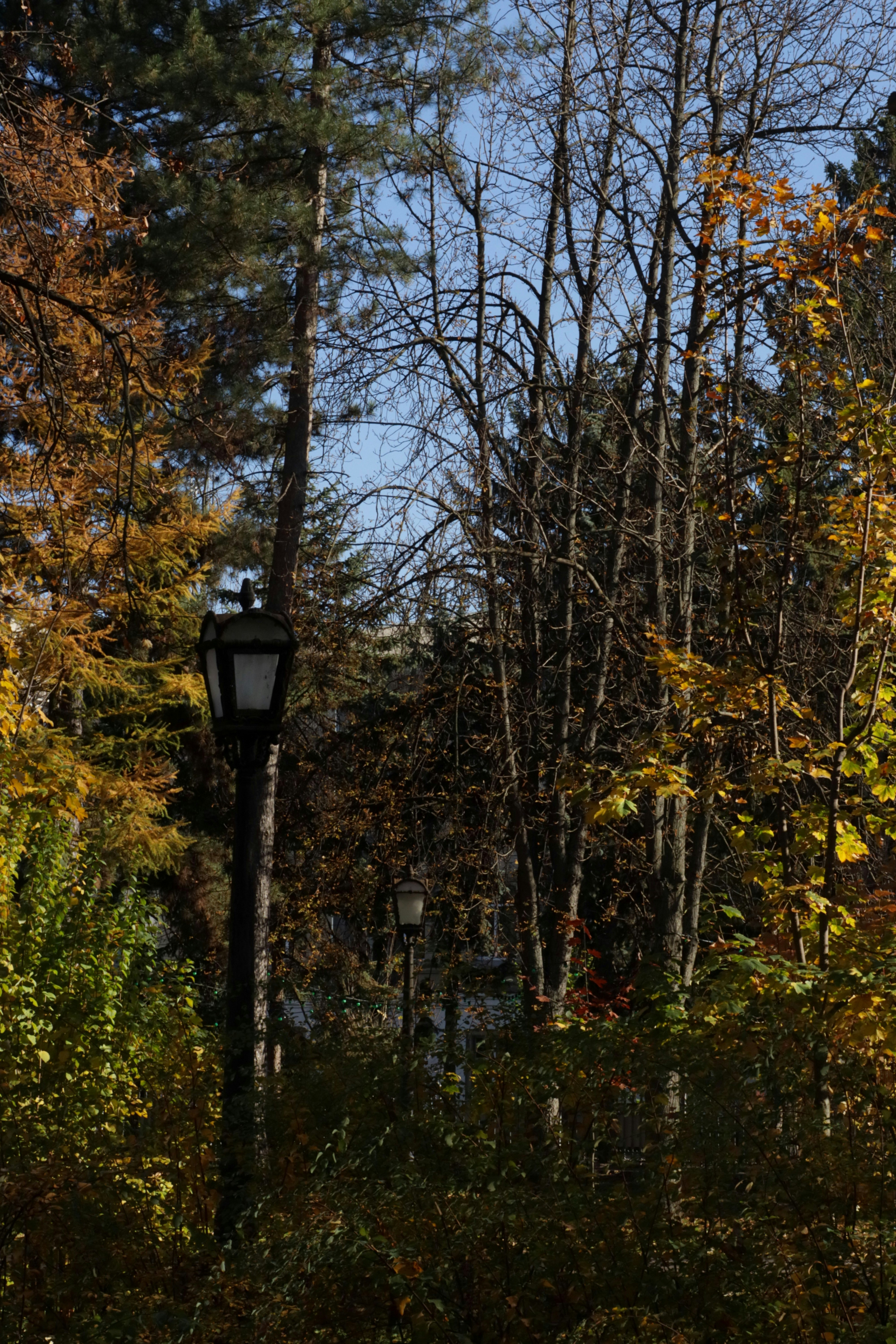 Lamppost in a park with autumn trees