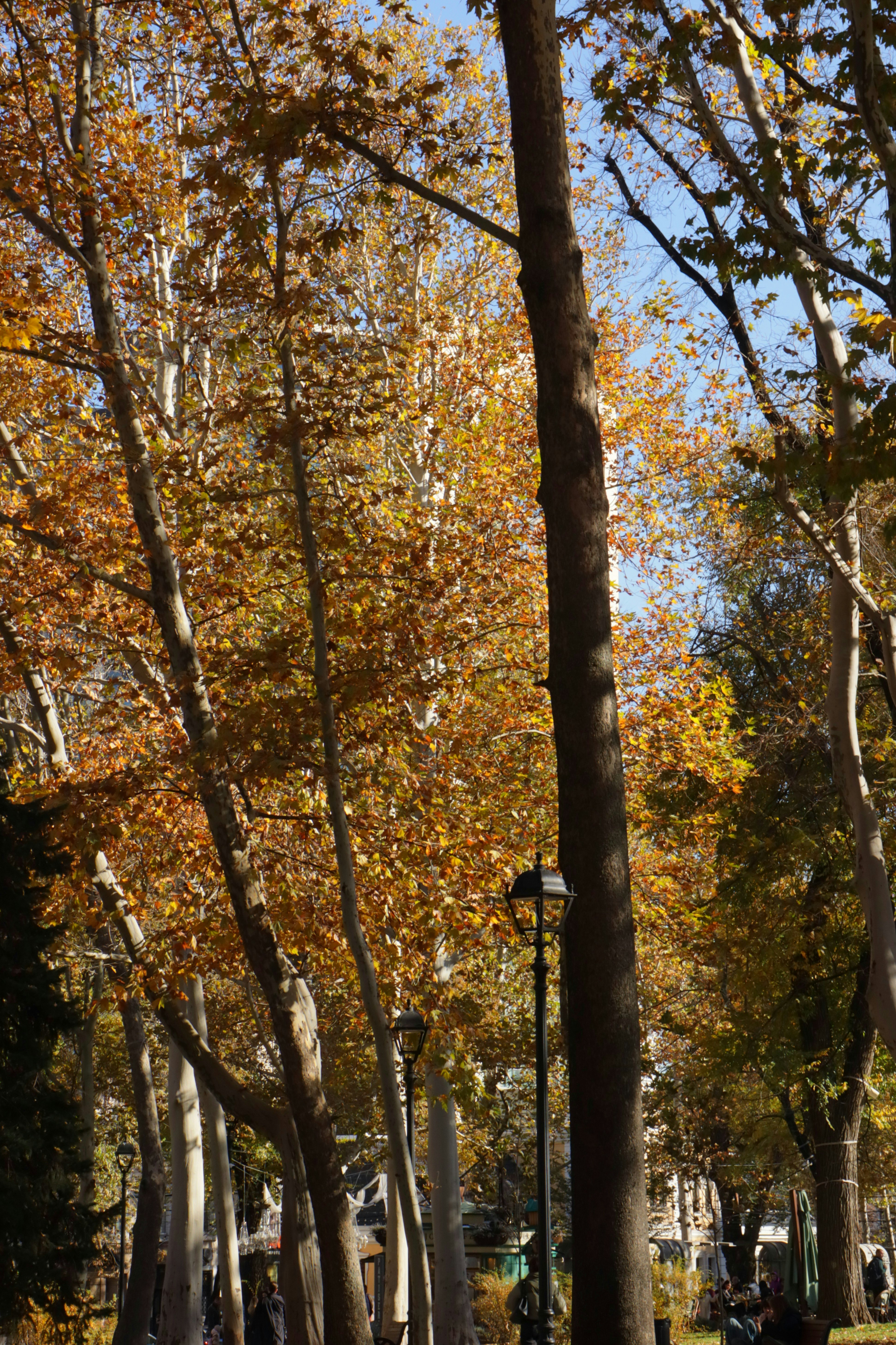 Photo by bored_mongoose