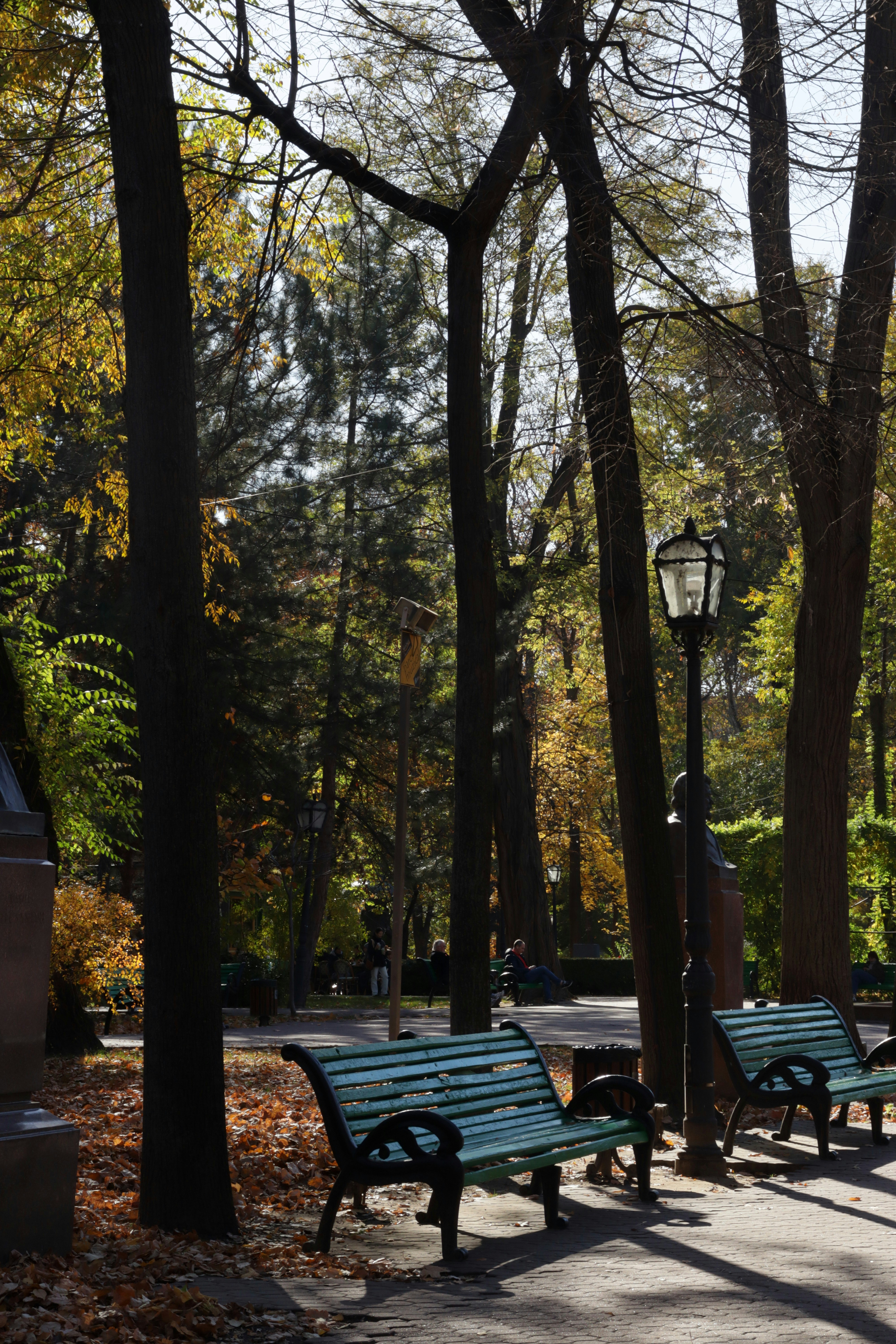 Photo by bored_mongoose