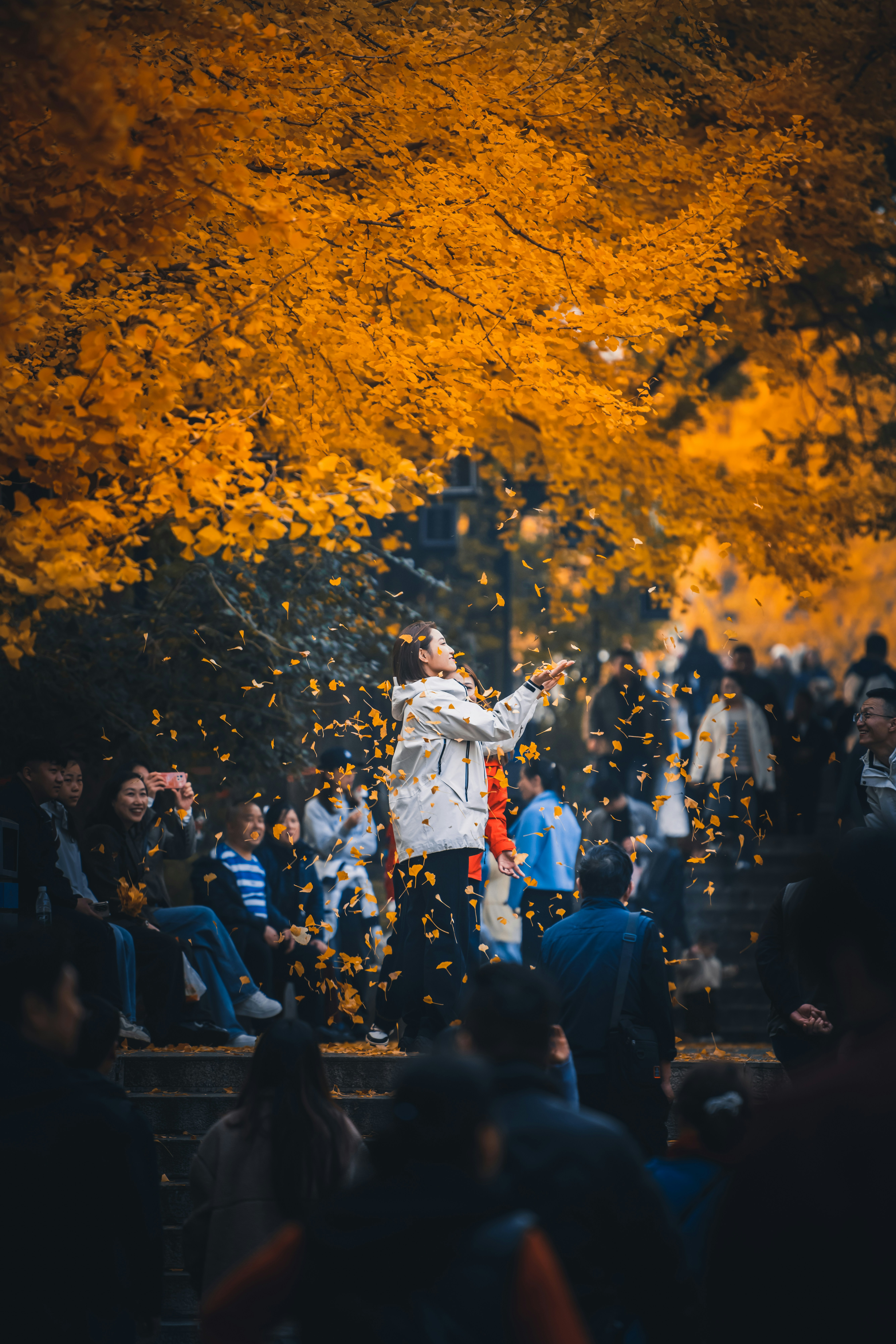 Mujer arrojando hojas debajo de los árboles de otoño