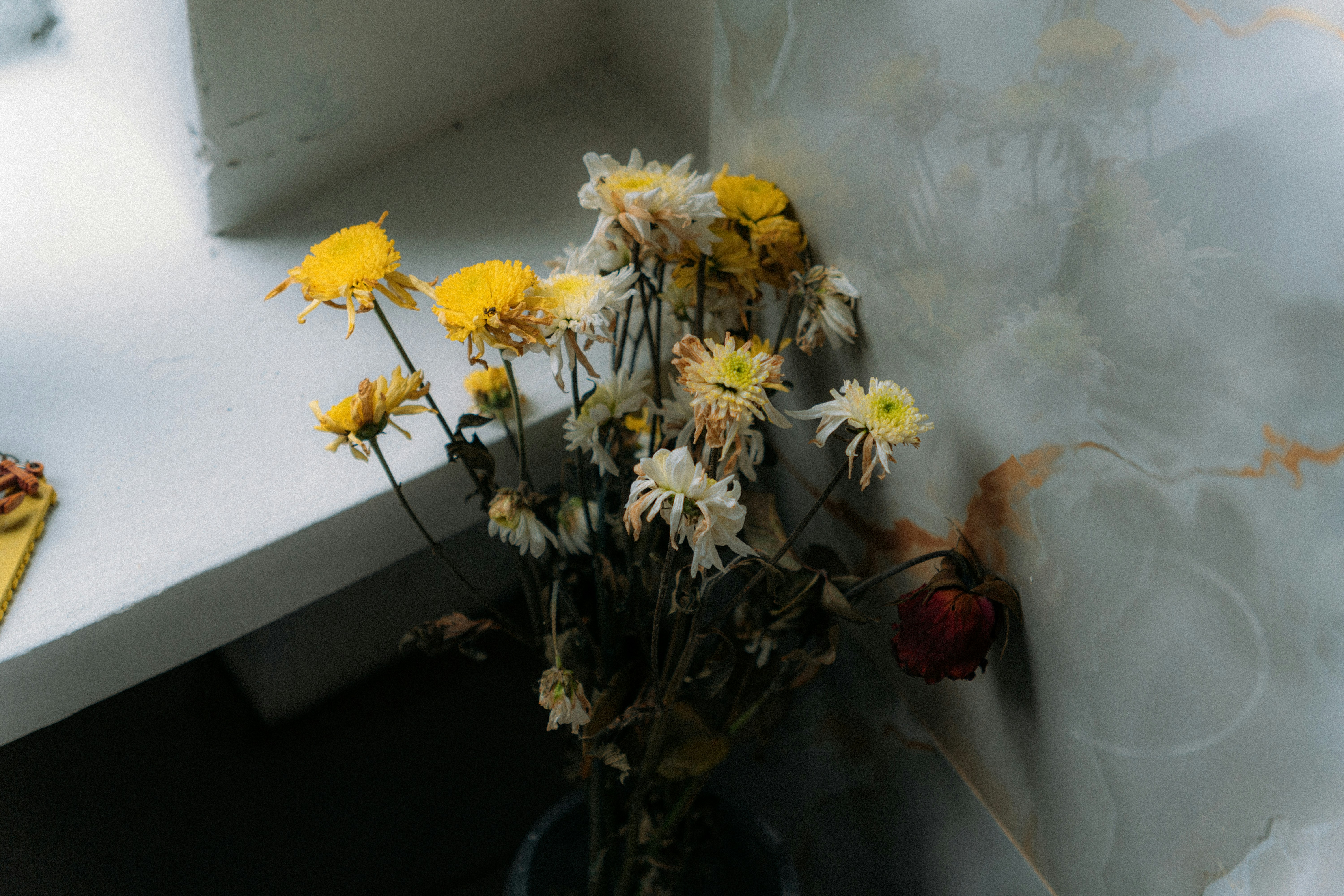 Wilted yellow and white flowers with one red rose.
