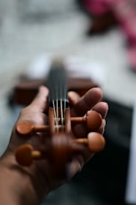 Hand holding the tuning pegs of a violin.